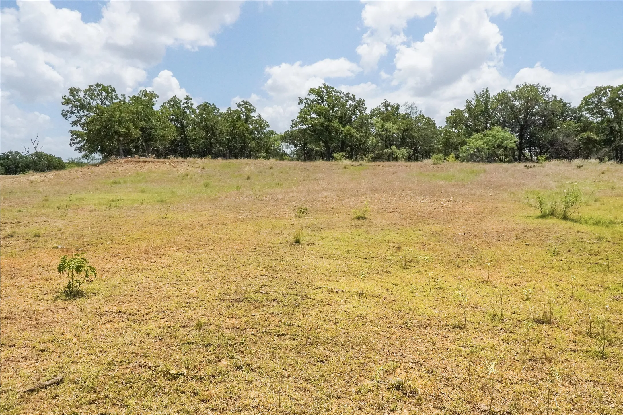 Unimproved Land For Sale in Jack County , 16.5 Acres Burwick Road, Jacksboro, Texas 76458, 0, 0, Garage spaces, 0 Sqft, built in 0, Price $264,000, mls#21334663, Real Estate Agent in Jacksboro, Homes For Sale in Jack county, Homes For Sale in Jacksboro, Realtor in Jacksboro Texas, Real Estate Brokerage Independent Realty Texas, Luminita Cordes Realtor