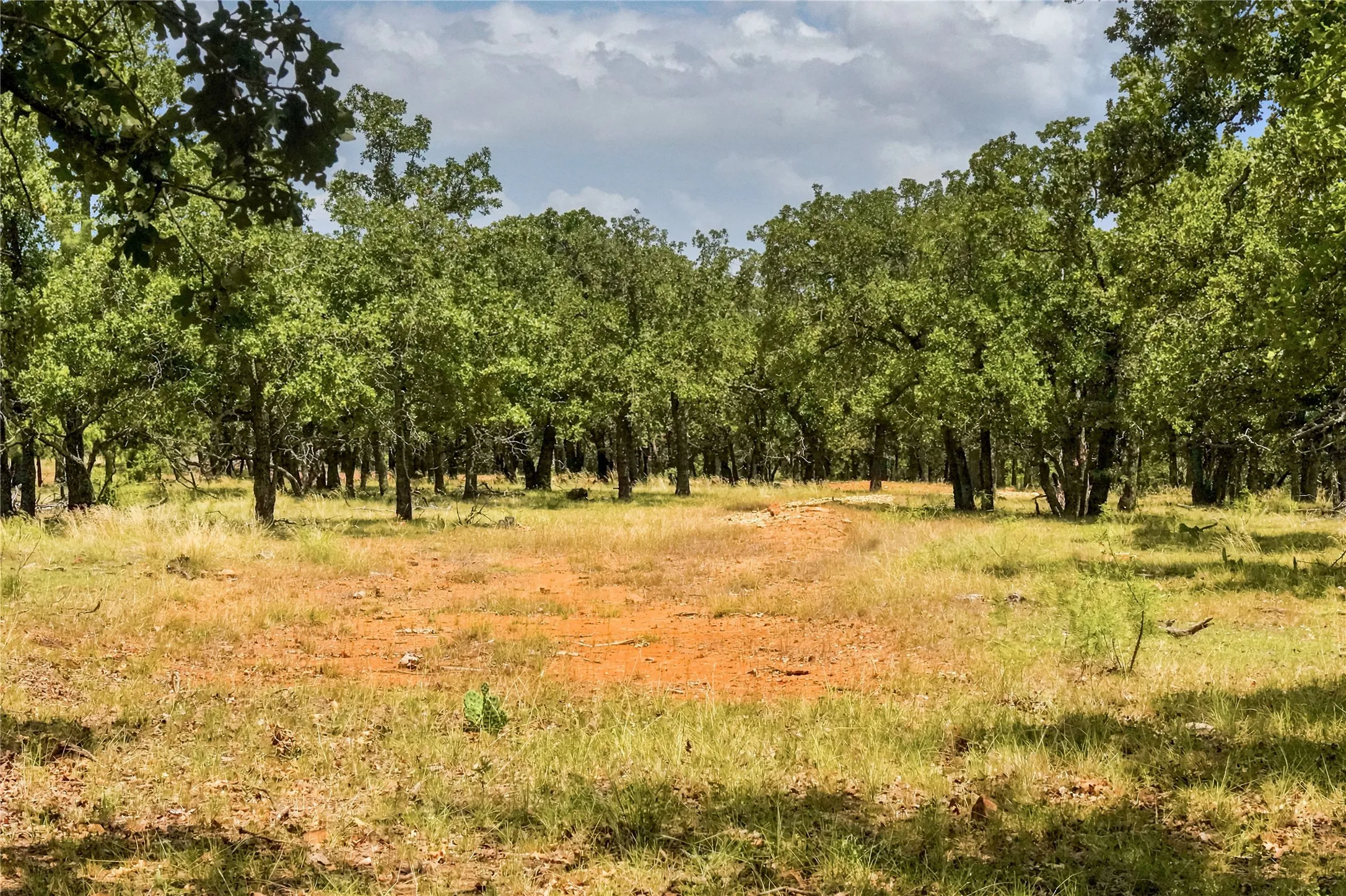 Unimproved Land For Sale in Jack County , 16.5 Acres Burwick Road, Jacksboro, Texas 76458, 0, 0, Garage spaces, 0 Sqft, built in 0, Price $264,000, mls#21334663, Real Estate Agent in Jacksboro, Homes For Sale in Jack county, Homes For Sale in Jacksboro, Realtor in Jacksboro Texas, Real Estate Brokerage Independent Realty Texas, Luminita Cordes Realtor