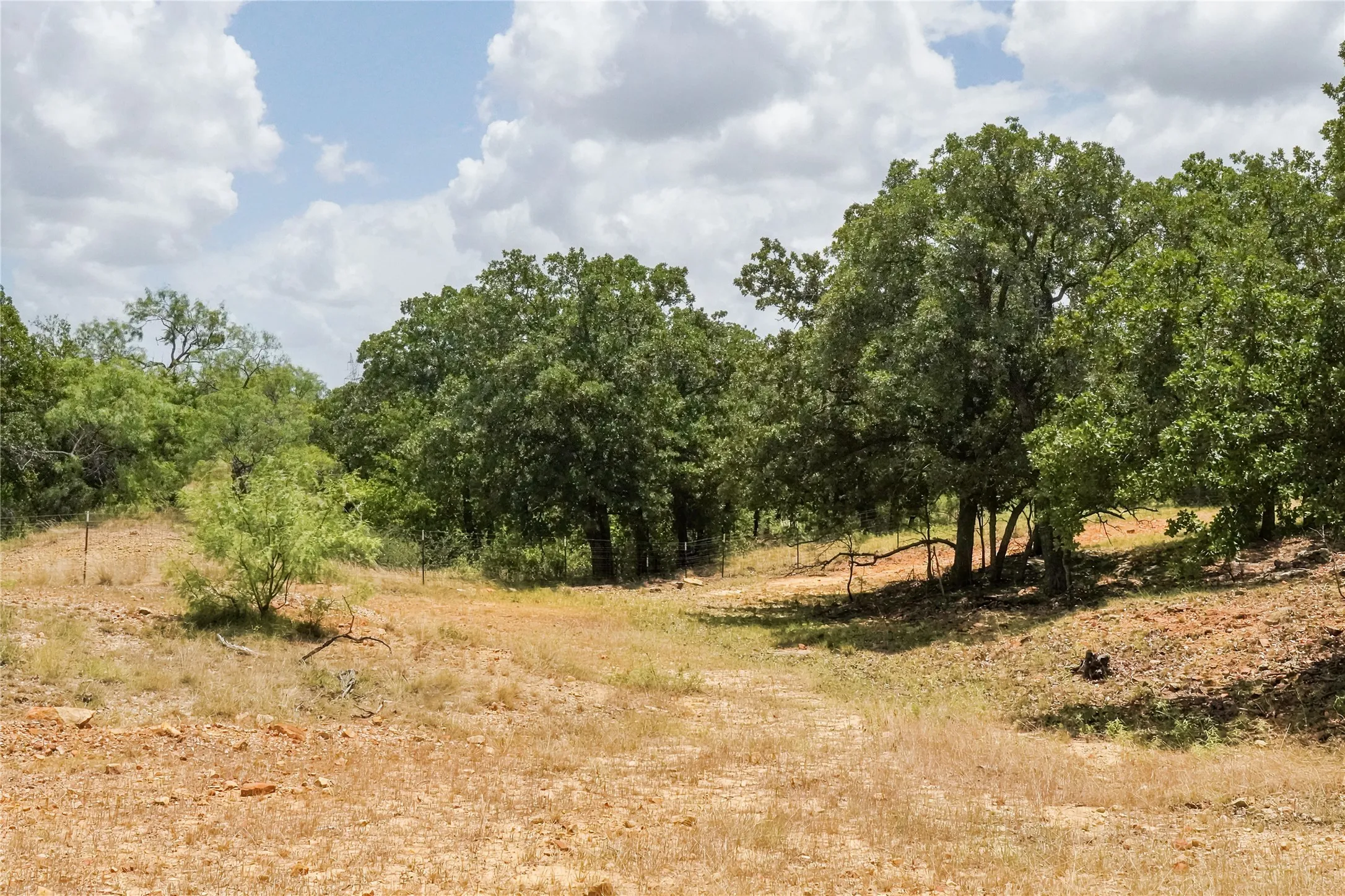Unimproved Land For Sale in Jack County , 16.5 Acres Burwick Road, Jacksboro, Texas 76458, 0, 0, Garage spaces, 0 Sqft, built in 0, Price $264,000, mls#21334663, Real Estate Agent in Jacksboro, Homes For Sale in Jack county, Homes For Sale in Jacksboro, Realtor in Jacksboro Texas, Real Estate Brokerage Independent Realty Texas, Luminita Cordes Realtor