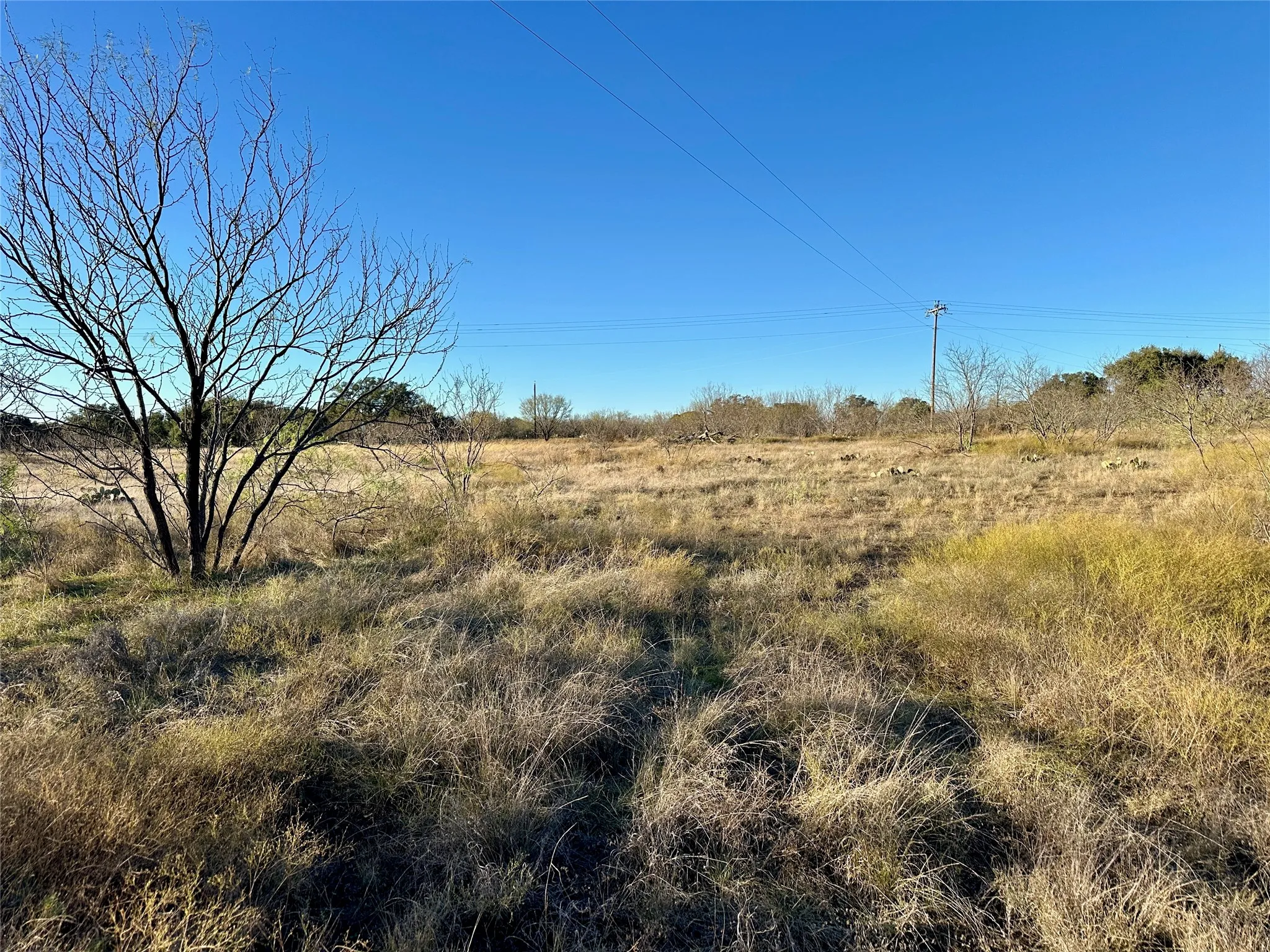 Expansive land parcel featuring natural grasses and scattered deciduous trees