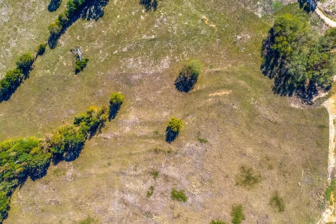 Unimproved Land For Sale in Upshur County , TBD Private Road 3398 Road, Big Sandy, Texas 75755, 0, 0, Garage spaces, 0 Sqft, built in 0, Price $80,000, mls#21332262, Real Estate Agent in Big Sandy, Homes For Sale in Upshur county, Homes For Sale in Big Sandy, Realtor in Big Sandy Texas, Real Estate Brokerage Independent Realty Texas, Luminita Cordes Realtor