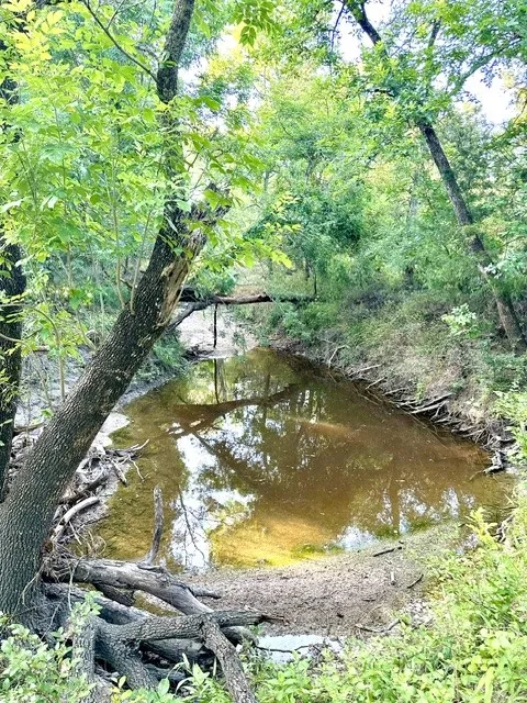 Ranch For Sale in Falls County , TBD Cr 120, Marlin, Texas 76661, 0, 0, Garage spaces, 0 Sqft, built in 0, Price $348,500, mls#21319397, Real Estate Agent in Marlin, Homes For Sale in Falls county, Homes For Sale in Marlin, Realtor in Marlin Texas, Real Estate Brokerage Independent Realty Texas, Luminita Cordes Realtor
