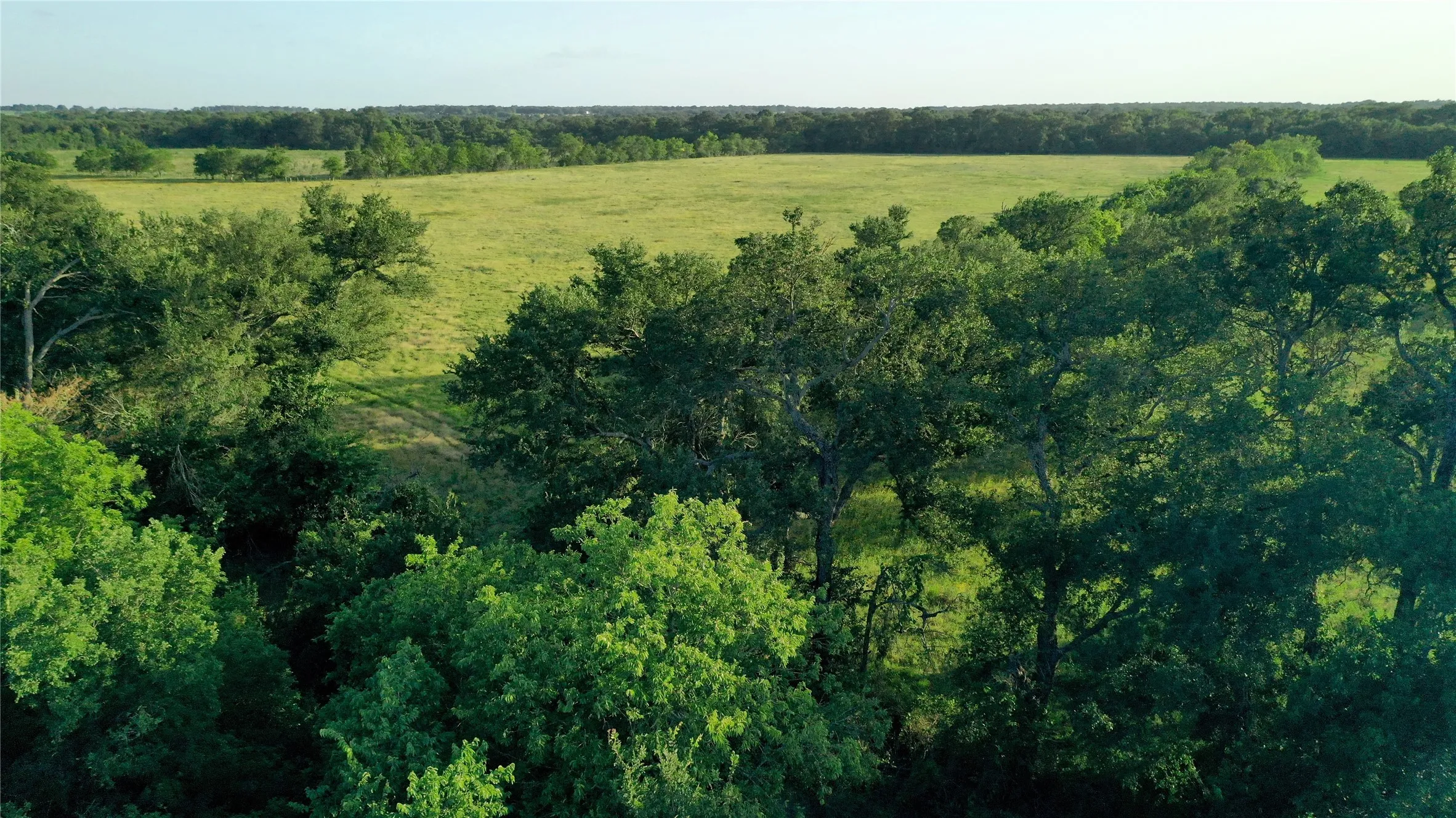 Ranch For Sale in Falls County , TBD Cr 120, Marlin, Texas 76661, 0, 0, Garage spaces, 0 Sqft, built in 0, Price $348,500, mls#21319397, Real Estate Agent in Marlin, Homes For Sale in Falls county, Homes For Sale in Marlin, Realtor in Marlin Texas, Real Estate Brokerage Independent Realty Texas, Luminita Cordes Realtor
