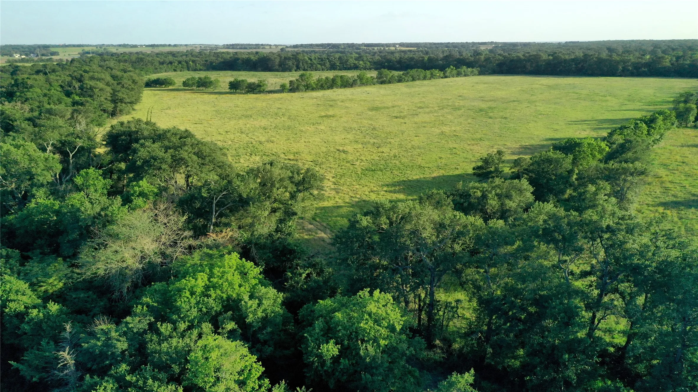 Ranch For Sale in Falls County , TBD Cr 120, Marlin, Texas 76661, 0, 0, Garage spaces, 0 Sqft, built in 0, Price $348,500, mls#21319397, Real Estate Agent in Marlin, Homes For Sale in Falls county, Homes For Sale in Marlin, Realtor in Marlin Texas, Real Estate Brokerage Independent Realty Texas, Luminita Cordes Realtor