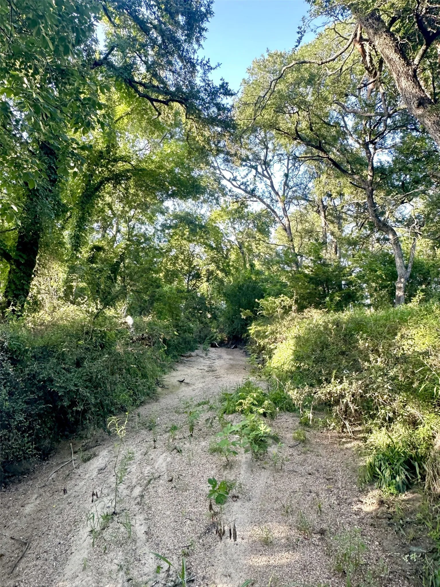 Ranch For Sale in Falls County , TBD Cr 120, Marlin, Texas 76661, 0, 0, Garage spaces, 0 Sqft, built in 0, Price $348,500, mls#21319397, Real Estate Agent in Marlin, Homes For Sale in Falls county, Homes For Sale in Marlin, Realtor in Marlin Texas, Real Estate Brokerage Independent Realty Texas, Luminita Cordes Realtor
