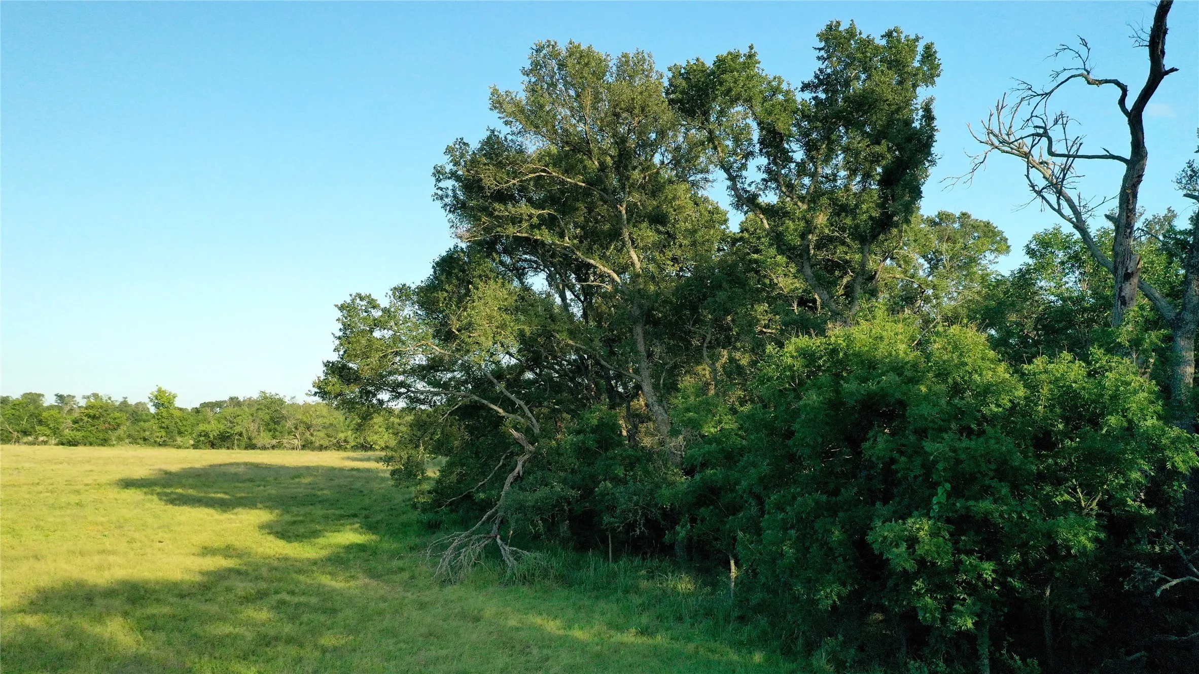 Ranch For Sale in Falls County , TBD Cr 120, Marlin, Texas 76661, 0, 0, Garage spaces, 0 Sqft, built in 0, Price $348,500, mls#21319397, Real Estate Agent in Marlin, Homes For Sale in Falls county, Homes For Sale in Marlin, Realtor in Marlin Texas, Real Estate Brokerage Independent Realty Texas, Luminita Cordes Realtor