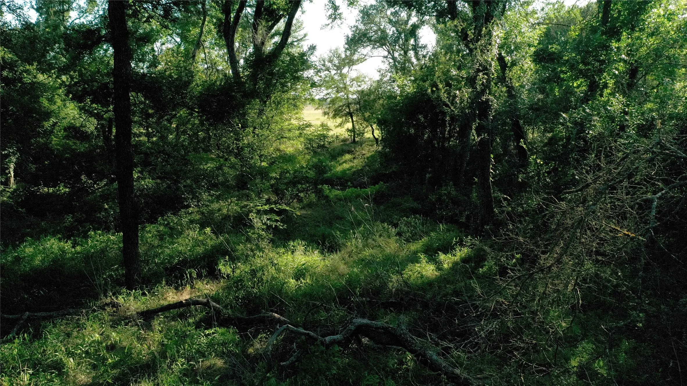 Ranch For Sale in Falls County , TBD Cr 120, Marlin, Texas 76661, 0, 0, Garage spaces, 0 Sqft, built in 0, Price $348,500, mls#21319397, Real Estate Agent in Marlin, Homes For Sale in Falls county, Homes For Sale in Marlin, Realtor in Marlin Texas, Real Estate Brokerage Independent Realty Texas, Luminita Cordes Realtor