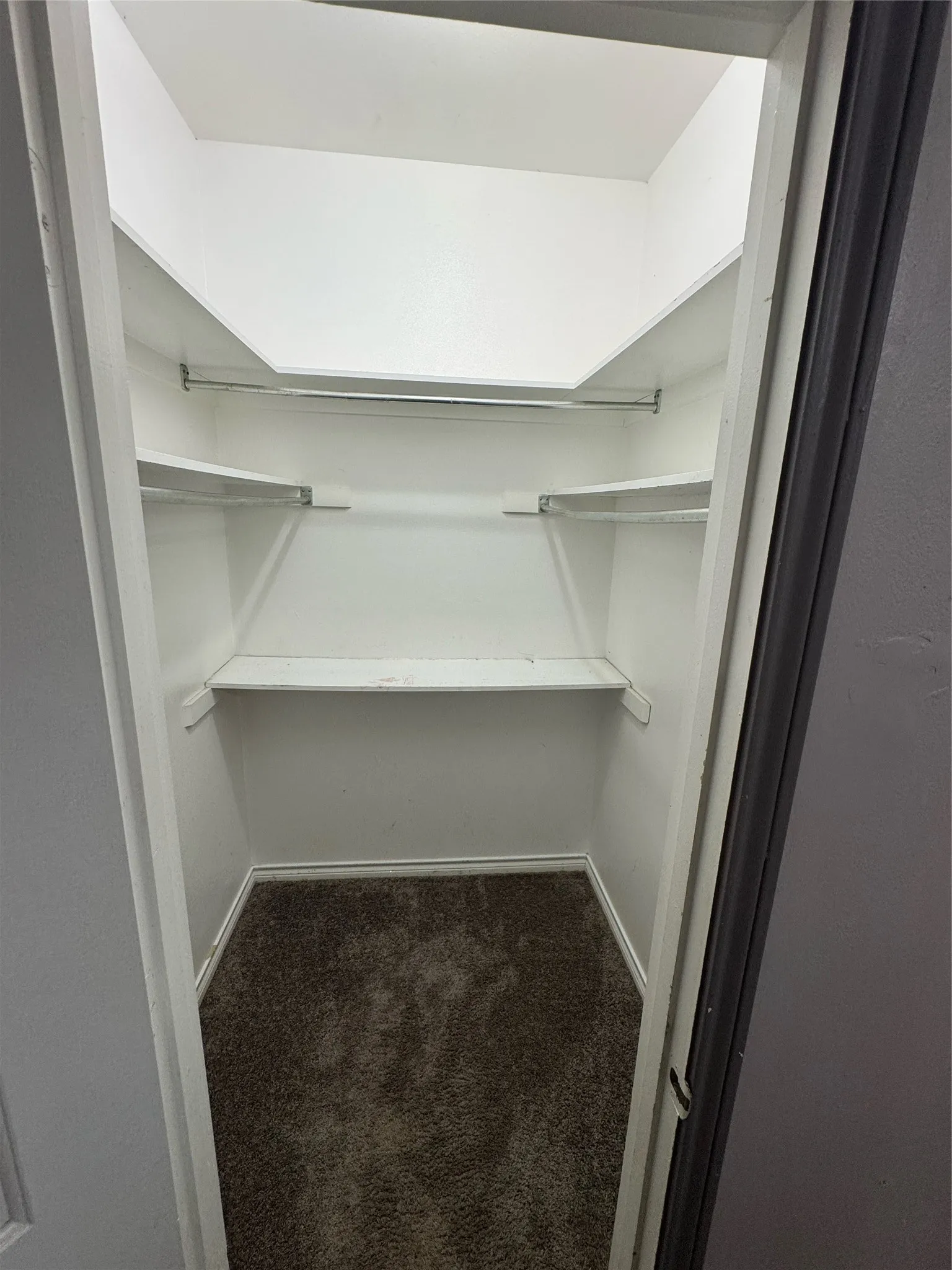 Walk-in closet featuring white interior walls, built-in shelving, hanging rods, and brown carpeting