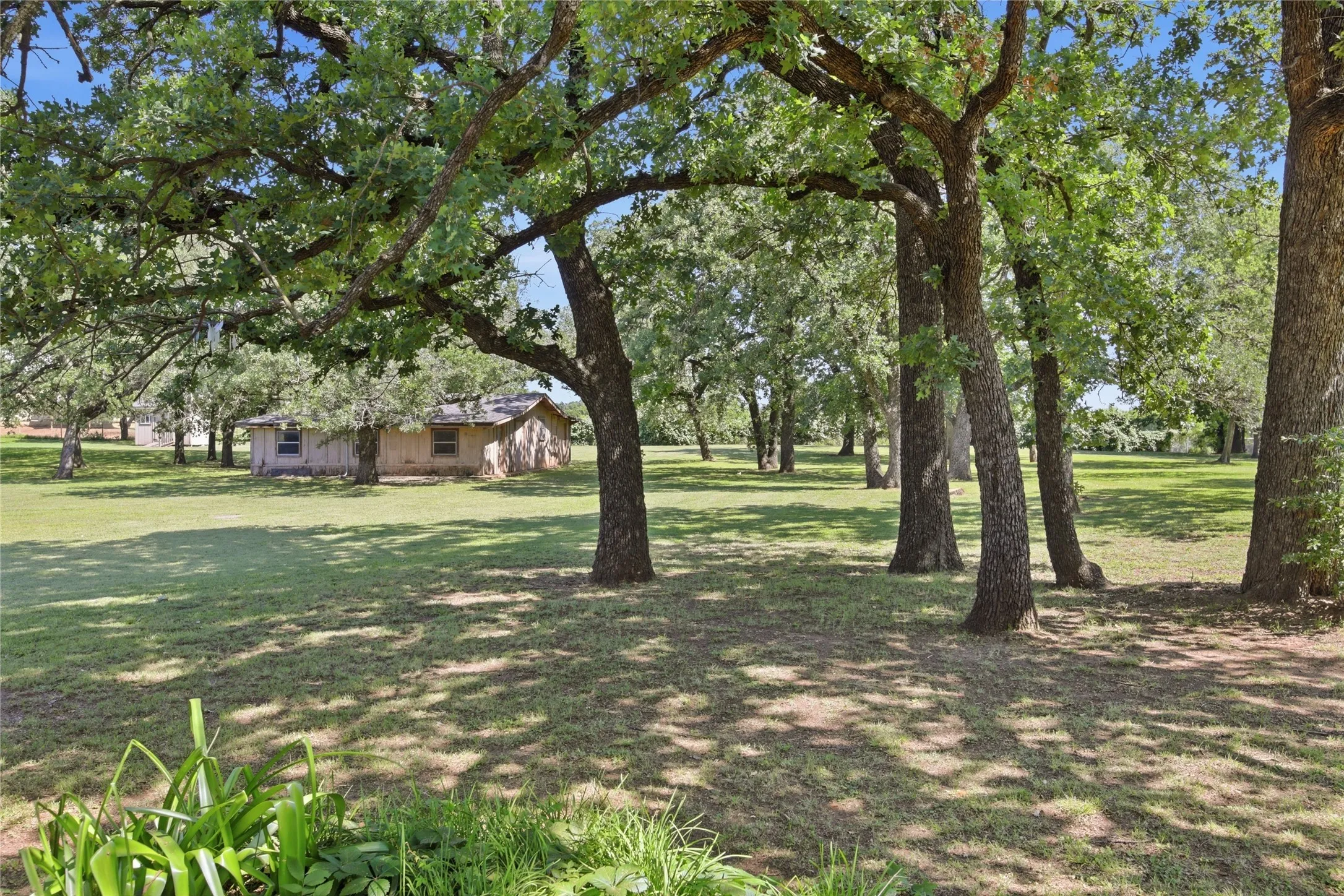 Single Family Residence For Sale in Tarrant County , 1251 Johnson Road, Keller, Texas 76248, 3 Bedroom, 2 Bathroom, 2 Garage spaces, 1,930 Sqft, built in 1954, mls#21334145, Real Estate Agent in Keller, Homes For Sale in Tarrant county, Homes For Sale in Keller, Realtor in Keller Texas, Real Estate Brokerage Independent Realty Texas, Luminita Cordes Realtor