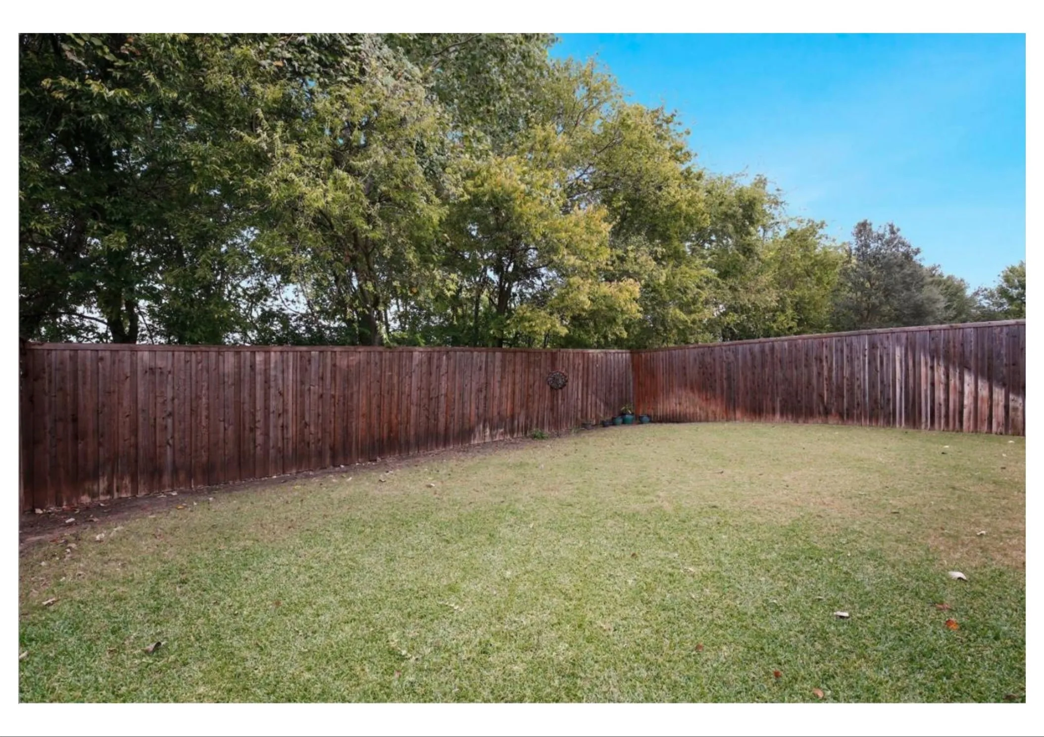 Expansive backyard featuring a manicured lawn, full wood privacy fencing, and mature trees providing natural screening