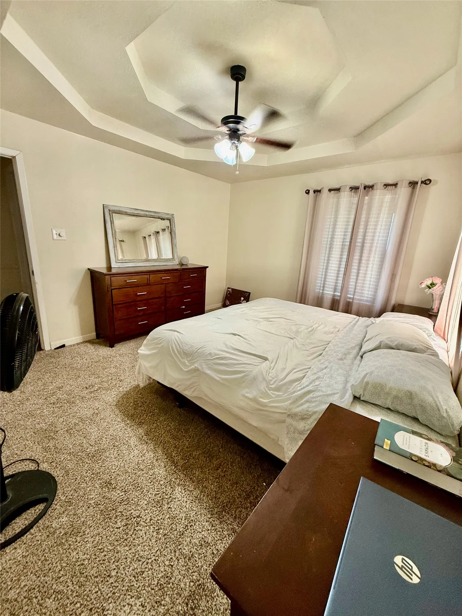 Room featuring a tray ceiling with a ceiling fan, carpeted flooring, and window treatments
