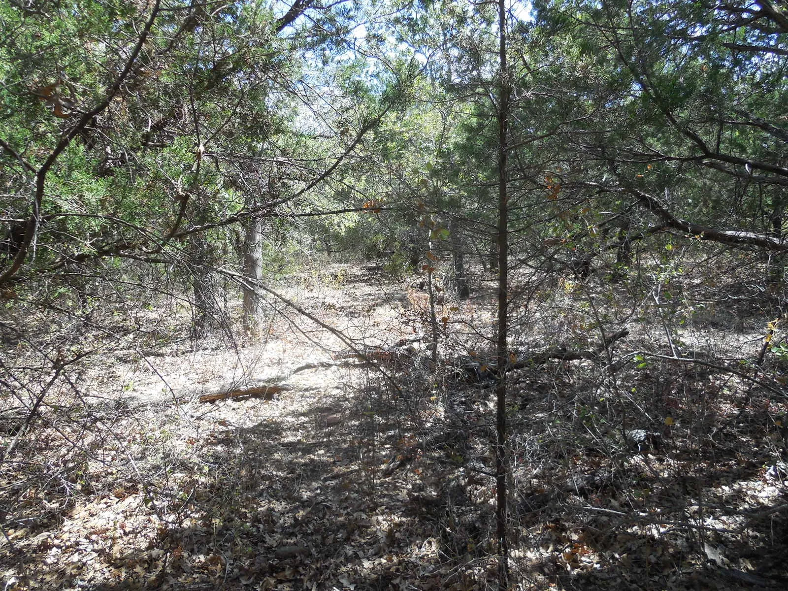 Ranch For Sale in Stephens County , TBD 10 Acres CR 136, Ranger, Texas 76470, 0, 0, Garage spaces, 0 Sqft, built in 0, Price $80,000, mls#21334872, Real Estate Agent in Ranger, Homes For Sale in Stephens county, Homes For Sale in Ranger, Realtor in Ranger Texas, Real Estate Brokerage Independent Realty Texas, Luminita Cordes Realtor
