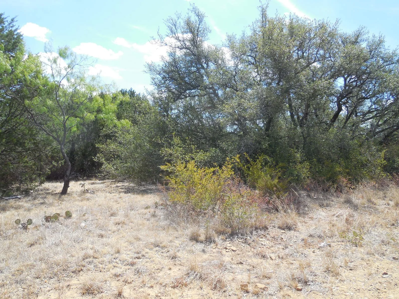 Ranch For Sale in Stephens County , TBD 10 Acres CR 136, Ranger, Texas 76470, 0, 0, Garage spaces, 0 Sqft, built in 0, Price $80,000, mls#21334872, Real Estate Agent in Ranger, Homes For Sale in Stephens county, Homes For Sale in Ranger, Realtor in Ranger Texas, Real Estate Brokerage Independent Realty Texas, Luminita Cordes Realtor