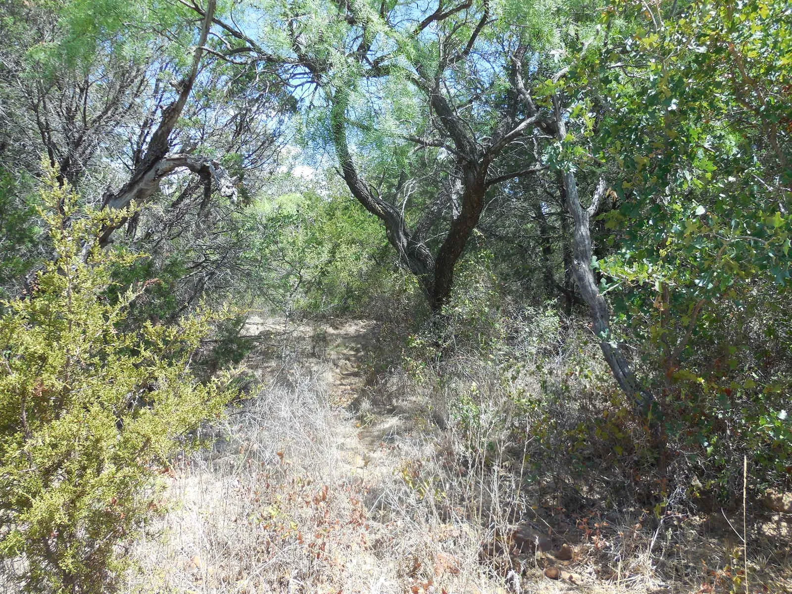 Ranch For Sale in Stephens County , TBD 10 Acres CR 136, Ranger, Texas 76470, 0, 0, Garage spaces, 0 Sqft, built in 0, Price $80,000, mls#21334872, Real Estate Agent in Ranger, Homes For Sale in Stephens county, Homes For Sale in Ranger, Realtor in Ranger Texas, Real Estate Brokerage Independent Realty Texas, Luminita Cordes Realtor