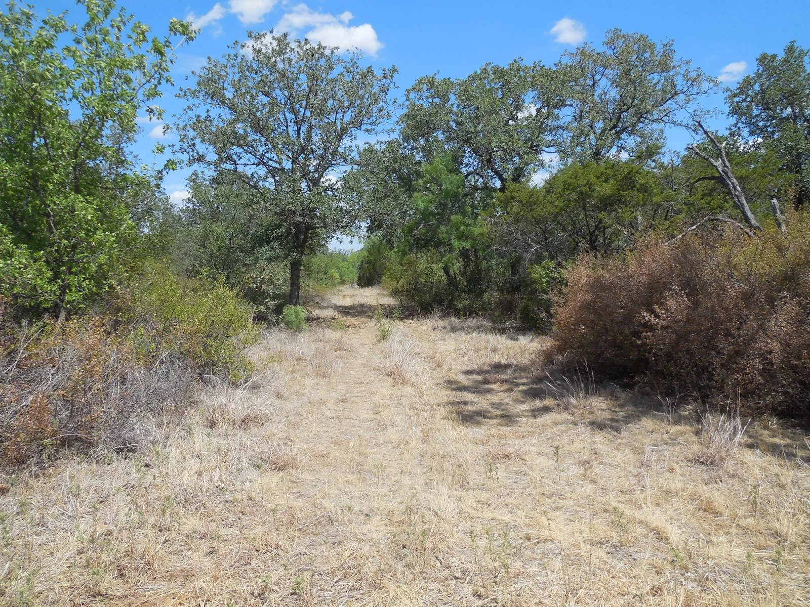 Ranch For Sale in Stephens County , TBD 10 Acres CR 136, Ranger, Texas 76470, 0, 0, Garage spaces, 0 Sqft, built in 0, Price $80,000, mls#21334872, Real Estate Agent in Ranger, Homes For Sale in Stephens county, Homes For Sale in Ranger, Realtor in Ranger Texas, Real Estate Brokerage Independent Realty Texas, Luminita Cordes Realtor