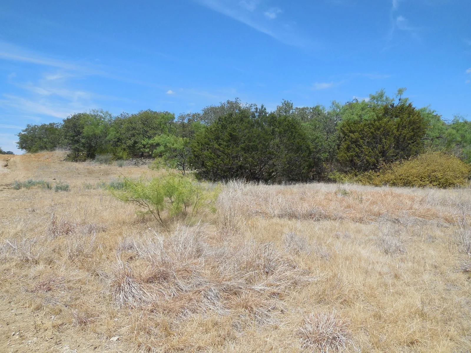 Ranch For Sale in Stephens County , TBD 10 Acres CR 136, Ranger, Texas 76470, 0, 0, Garage spaces, 0 Sqft, built in 0, Price $80,000, mls#21334872, Real Estate Agent in Ranger, Homes For Sale in Stephens county, Homes For Sale in Ranger, Realtor in Ranger Texas, Real Estate Brokerage Independent Realty Texas, Luminita Cordes Realtor