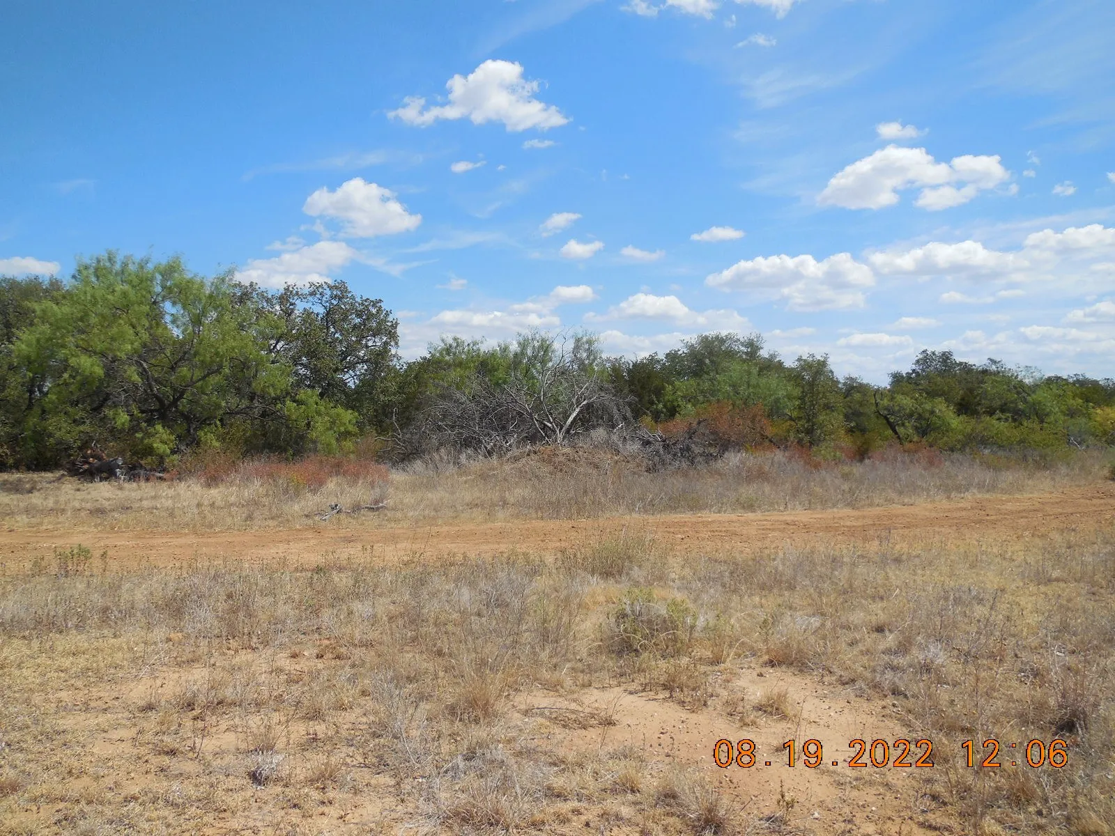 Ranch For Sale in Stephens County , TBD 10 Acres CR 136, Ranger, Texas 76470, 0, 0, Garage spaces, 0 Sqft, built in 0, Price $80,000, mls#21334872, Real Estate Agent in Ranger, Homes For Sale in Stephens county, Homes For Sale in Ranger, Realtor in Ranger Texas, Real Estate Brokerage Independent Realty Texas, Luminita Cordes Realtor