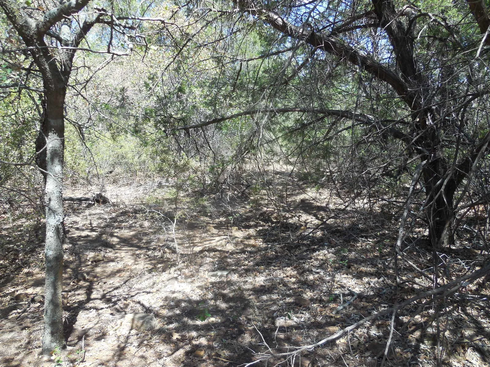 Ranch For Sale in Stephens County , TBD 10 Acres CR 136, Ranger, Texas 76470, 0, 0, Garage spaces, 0 Sqft, built in 0, Price $80,000, mls#21334872, Real Estate Agent in Ranger, Homes For Sale in Stephens county, Homes For Sale in Ranger, Realtor in Ranger Texas, Real Estate Brokerage Independent Realty Texas, Luminita Cordes Realtor