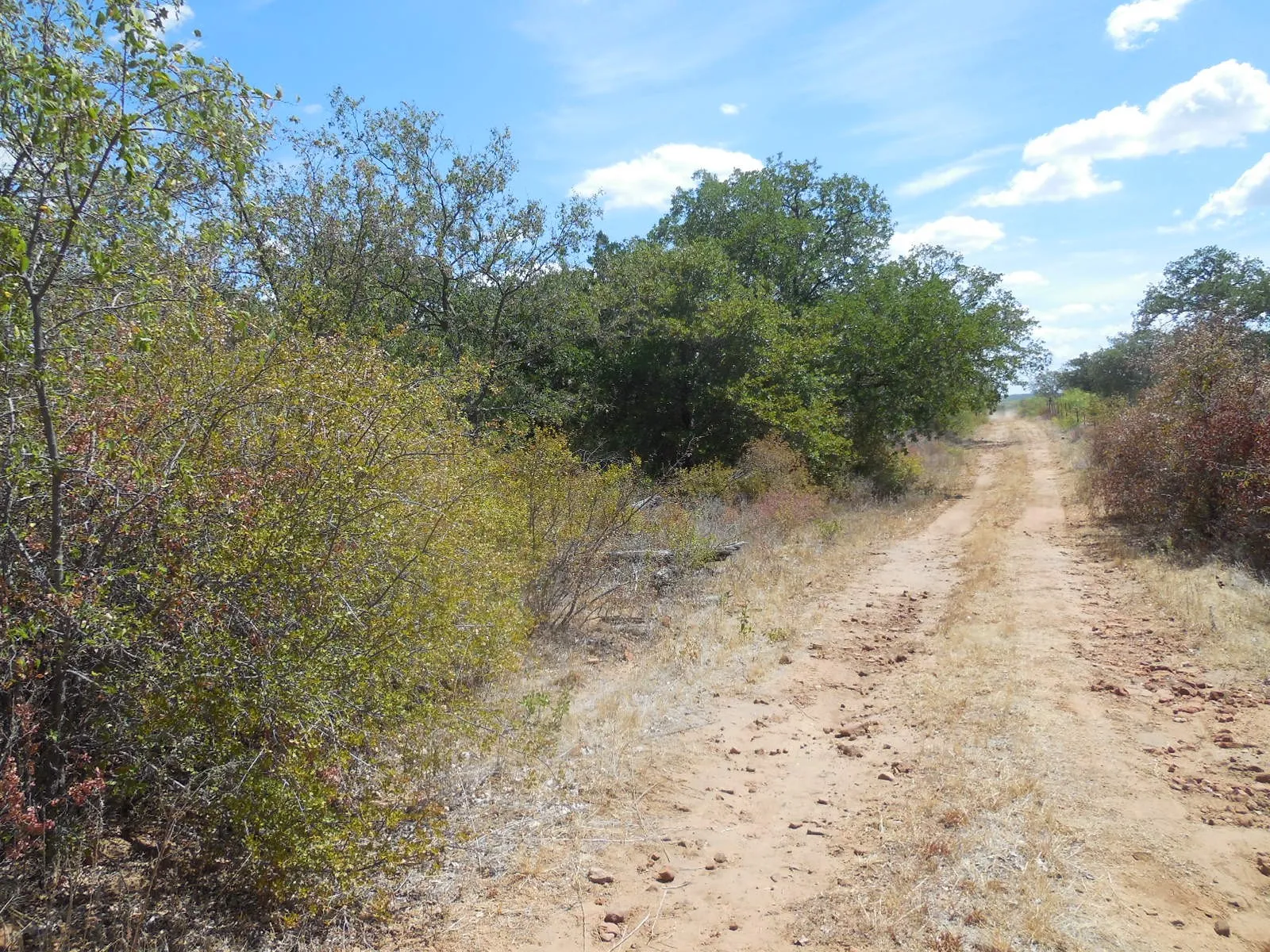 Ranch For Sale in Stephens County , TBD 10 Acres CR 136, Ranger, Texas 76470, 0, 0, Garage spaces, 0 Sqft, built in 0, Price $80,000, mls#21334872, Real Estate Agent in Ranger, Homes For Sale in Stephens county, Homes For Sale in Ranger, Realtor in Ranger Texas, Real Estate Brokerage Independent Realty Texas, Luminita Cordes Realtor