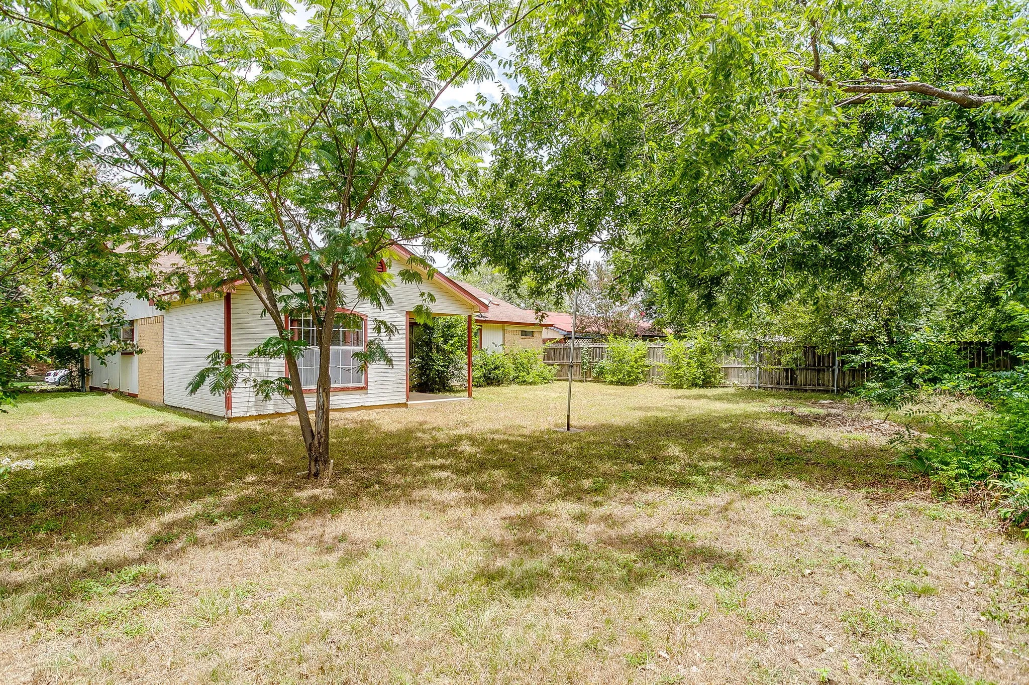 Backyard