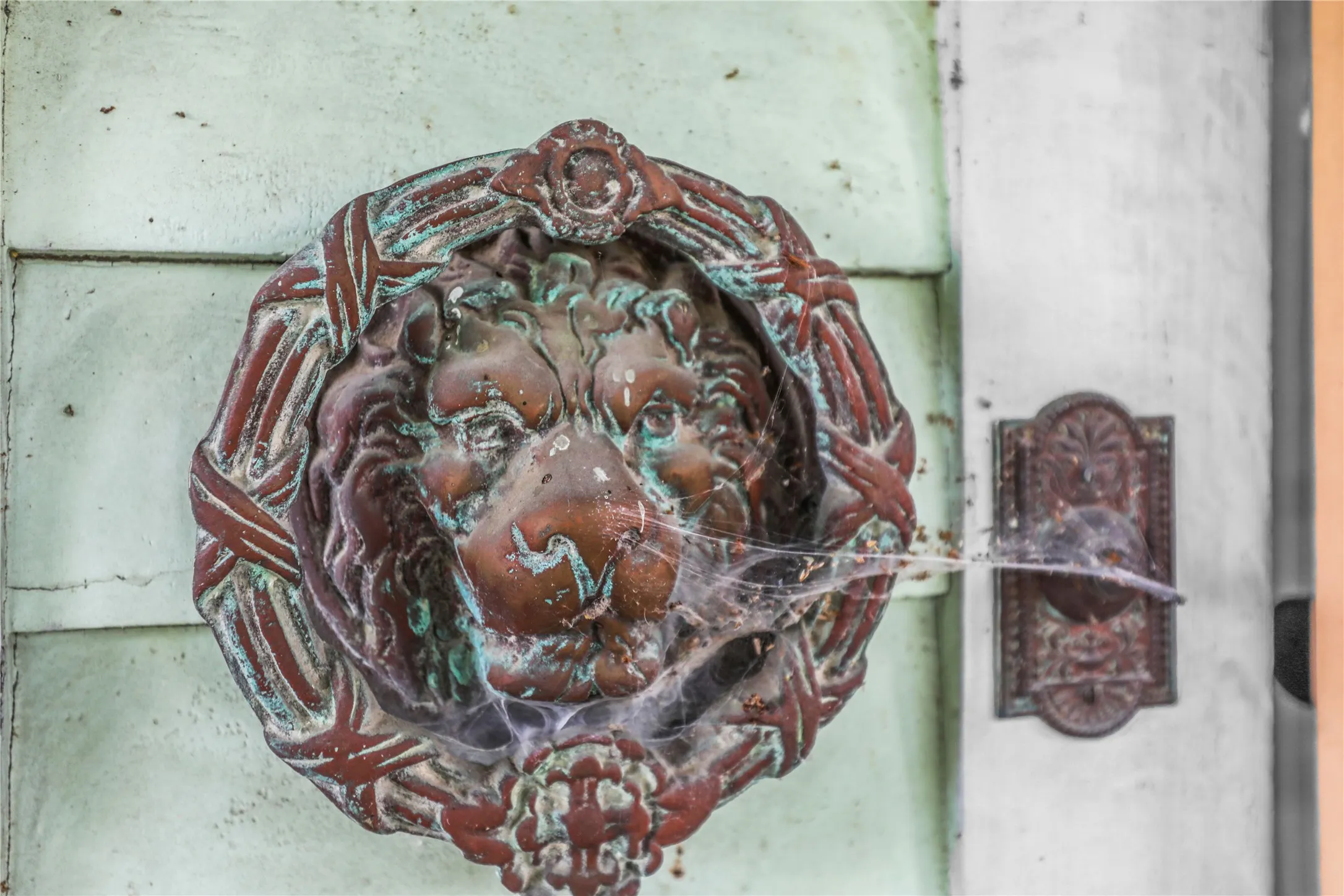 Ornate lion head door knocker featuring a verdigris patina and intricate detailing