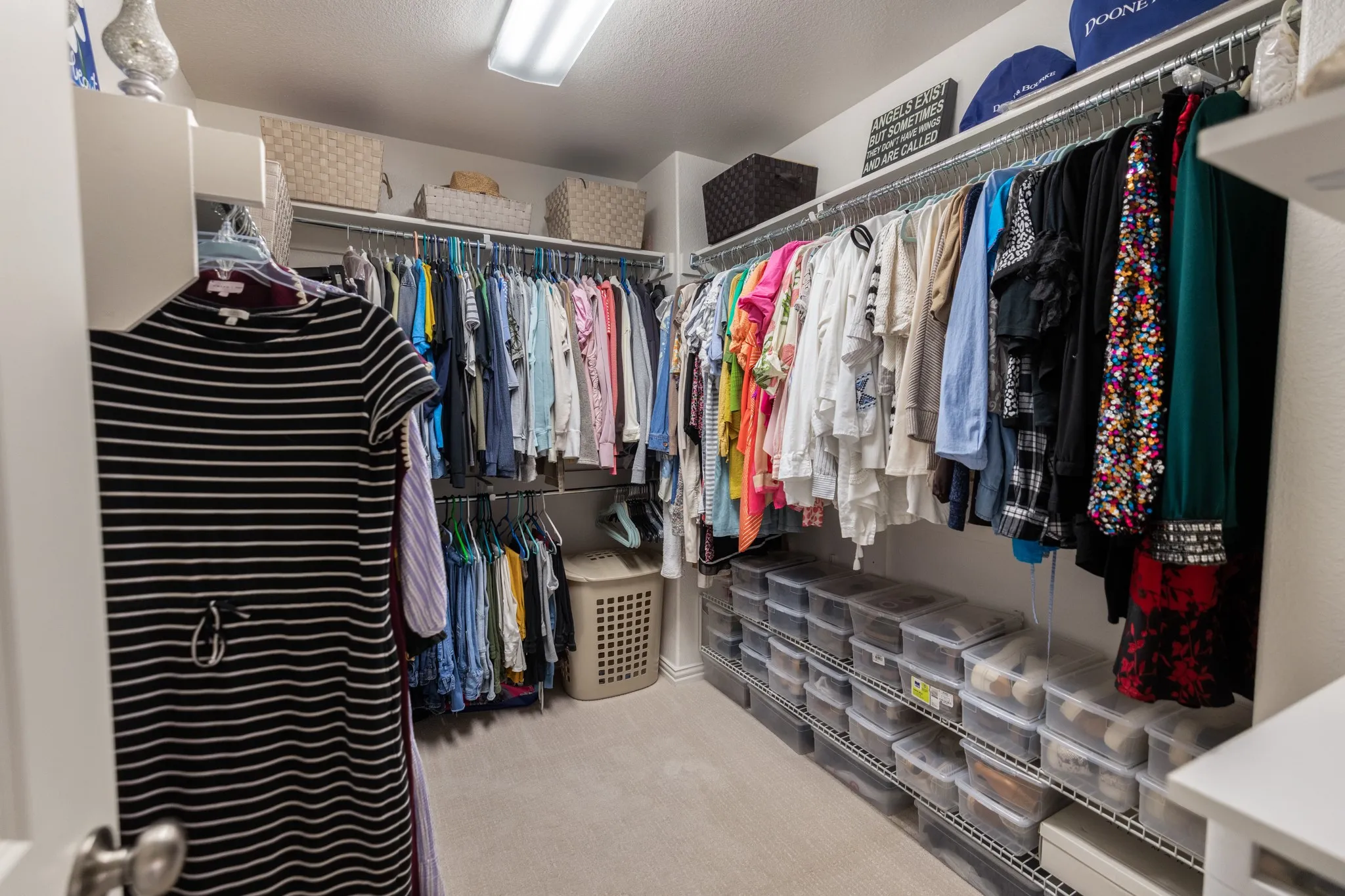 Walk-in closet featuring carpeted flooring and recessed lighting