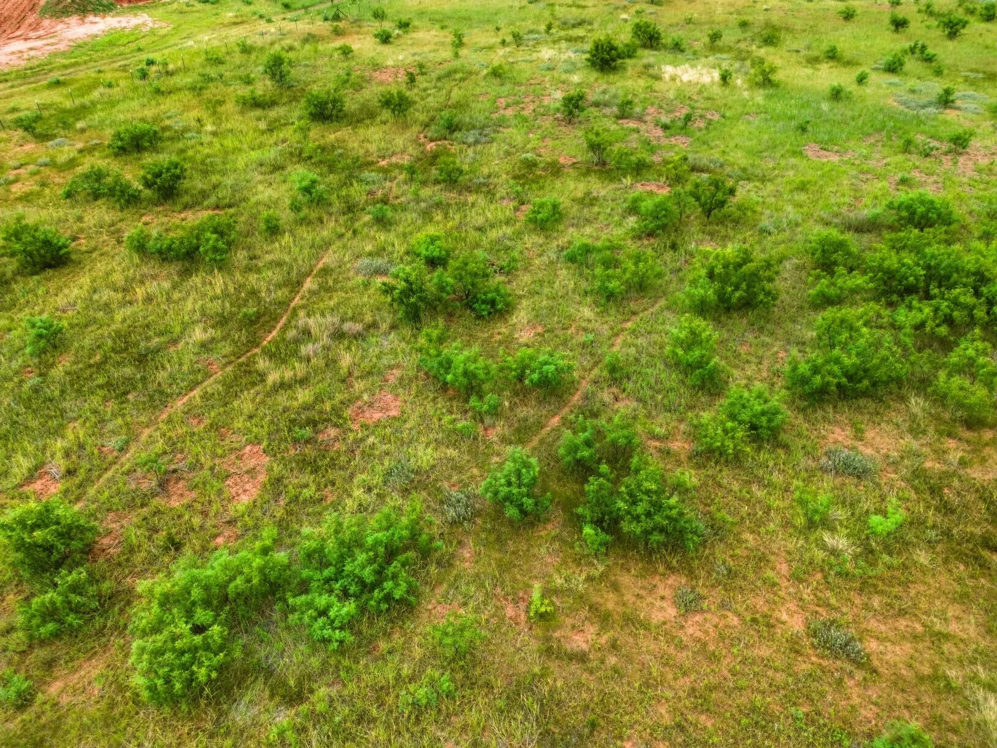 Unimproved Land For Sale in Taylor County , TBD Lytle Cove, Abilene, Texas 79602, 0, 0, Garage spaces, 0 Sqft, built in 0, mls#21334761, Real Estate Agent in Abilene, Homes For Sale in Taylor county, Homes For Sale in Abilene, Realtor in Abilene Texas, Real Estate Brokerage Independent Realty Texas, Luminita Cordes Realtor