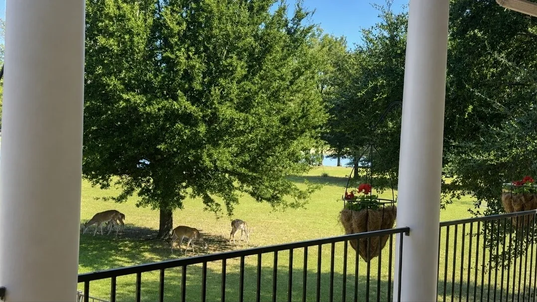 Single Family Residence For Sale in Parker County , 1225 Driftwood Ranch Trail, Weatherford, Texas 76087, 3 Bedroom, 2 Bathroom, 2 Garage spaces, 2,356 Sqft, built in 2006, mls#21334916, Real Estate Agent in Weatherford, Homes For Sale in Parker county, Homes For Sale in Weatherford, Realtor in Weatherford Texas, Real Estate Brokerage Independent Realty Texas, Luminita Cordes Realtor