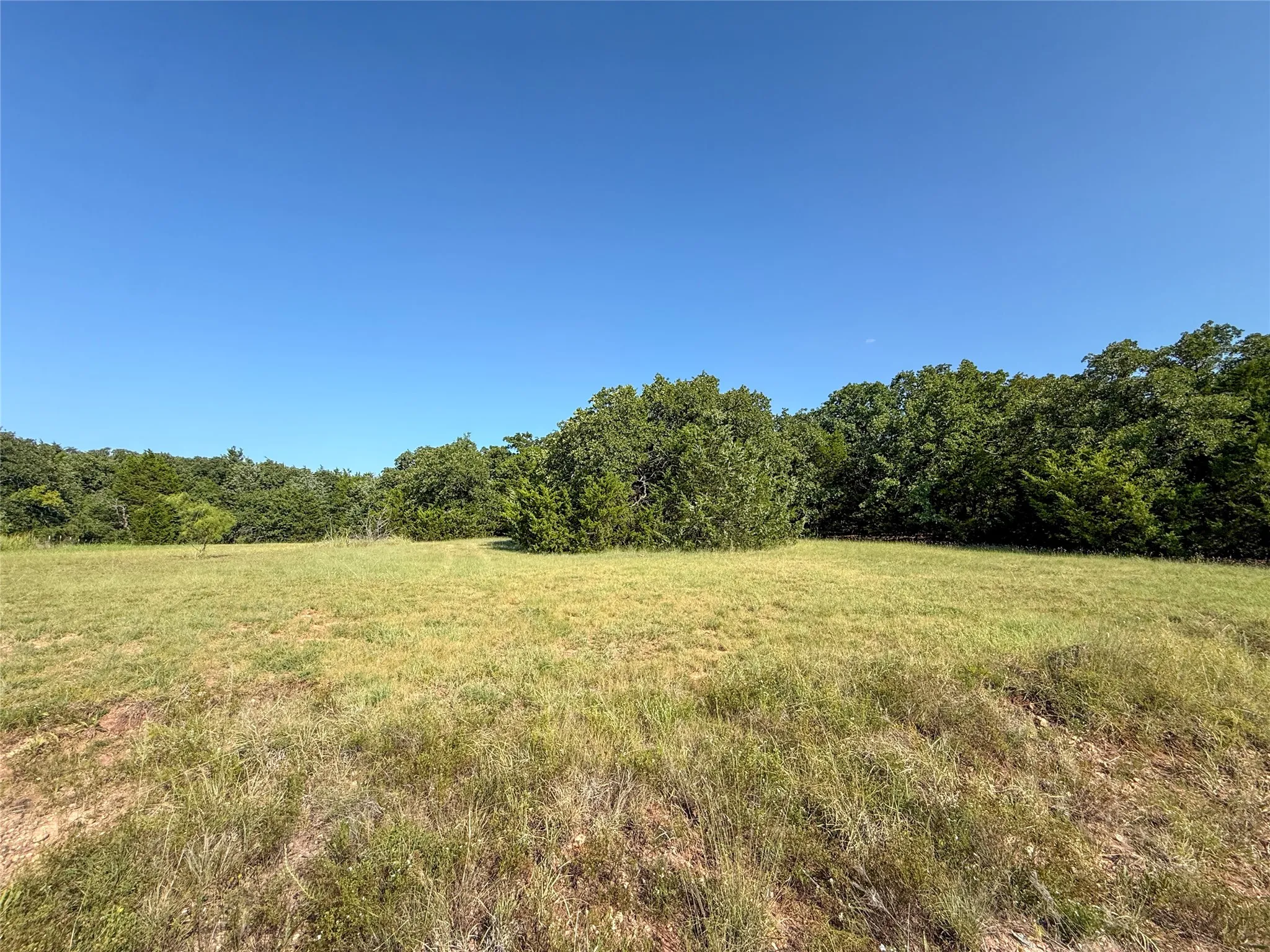 Unimproved Land For Sale in Wise County , TBD FM 1655 Trail, Alvord, Texas 76225, 0, 0, Garage spaces, 0 Sqft, built in 0, Price $450,000, mls#21332542, Real Estate Agent in Alvord, Homes For Sale in Wise county, Homes For Sale in Alvord, Realtor in Alvord Texas, Real Estate Brokerage Independent Realty Texas, Luminita Cordes Realtor