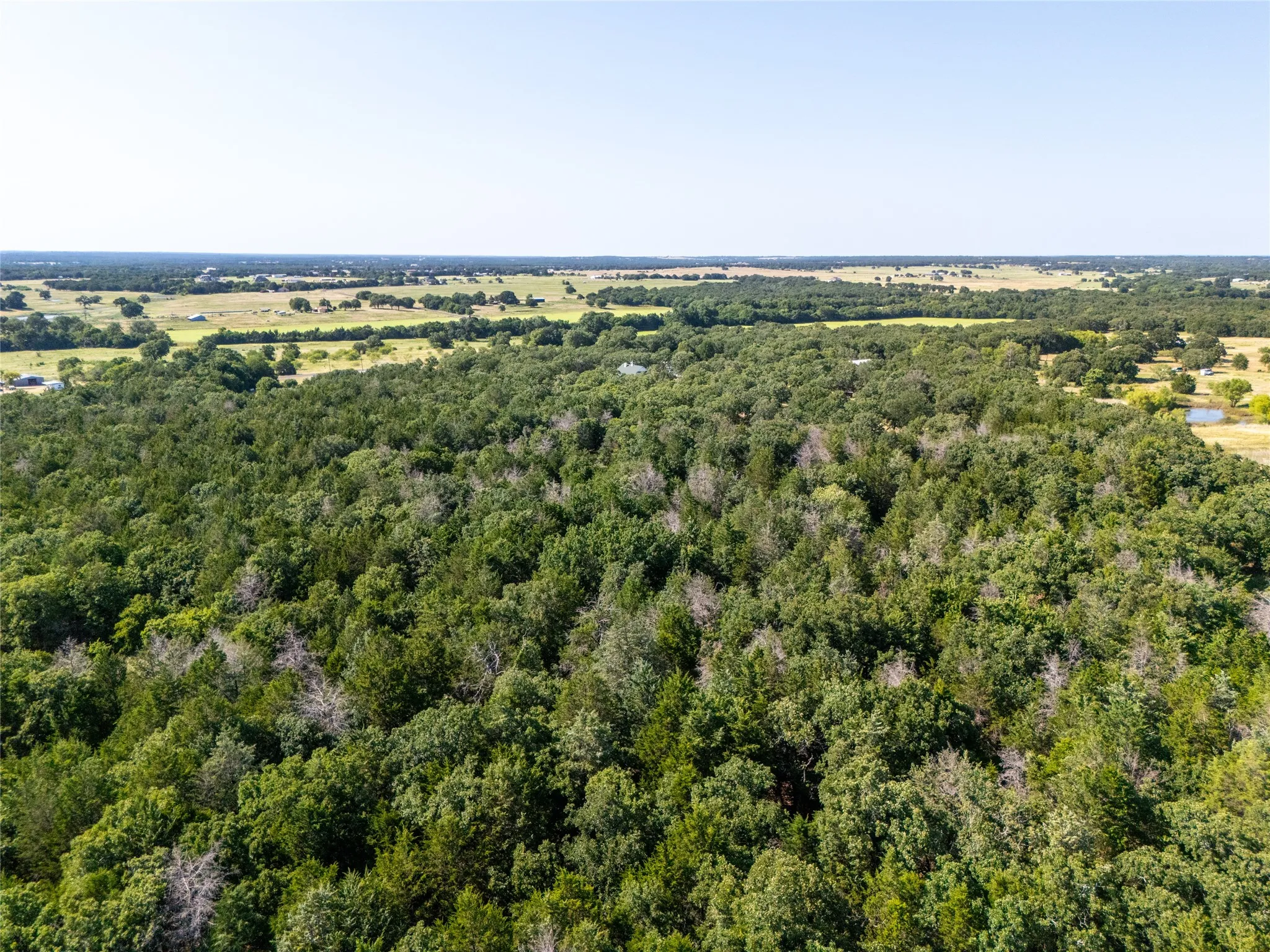 Unimproved Land For Sale in Wise County , TBD FM 1655 Trail, Alvord, Texas 76225, 0, 0, Garage spaces, 0 Sqft, built in 0, Price $450,000, mls#21332542, Real Estate Agent in Alvord, Homes For Sale in Wise county, Homes For Sale in Alvord, Realtor in Alvord Texas, Real Estate Brokerage Independent Realty Texas, Luminita Cordes Realtor