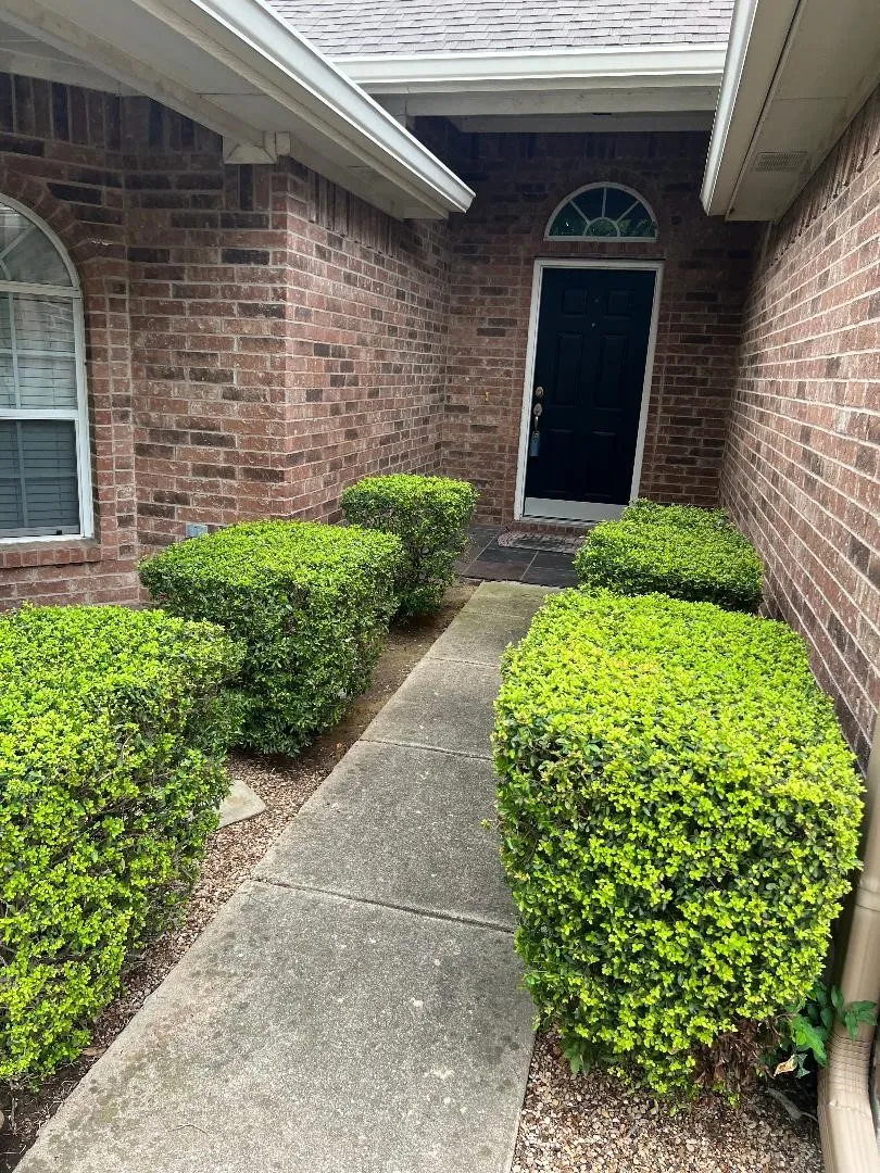 Single Family Residence For Sale in Collin County , 8501 Blacktail Trail, Mc Kinney, Texas 75070, 3 Bedroom, 2 Bathroom, 2 Garage spaces, 1,871 Sqft, built in 2003, mls#21333892, Real Estate Agent in Mc Kinney, Homes For Sale in Collin county, Homes For Sale in Mc Kinney, Realtor in Mc Kinney Texas, Real Estate Brokerage Independent Realty Texas, Luminita Cordes Realtor