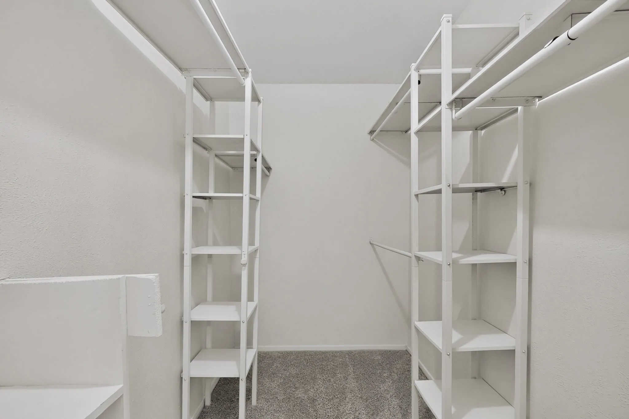 Walk-in closet featuring built-in shelving, white walls, and gray carpeting