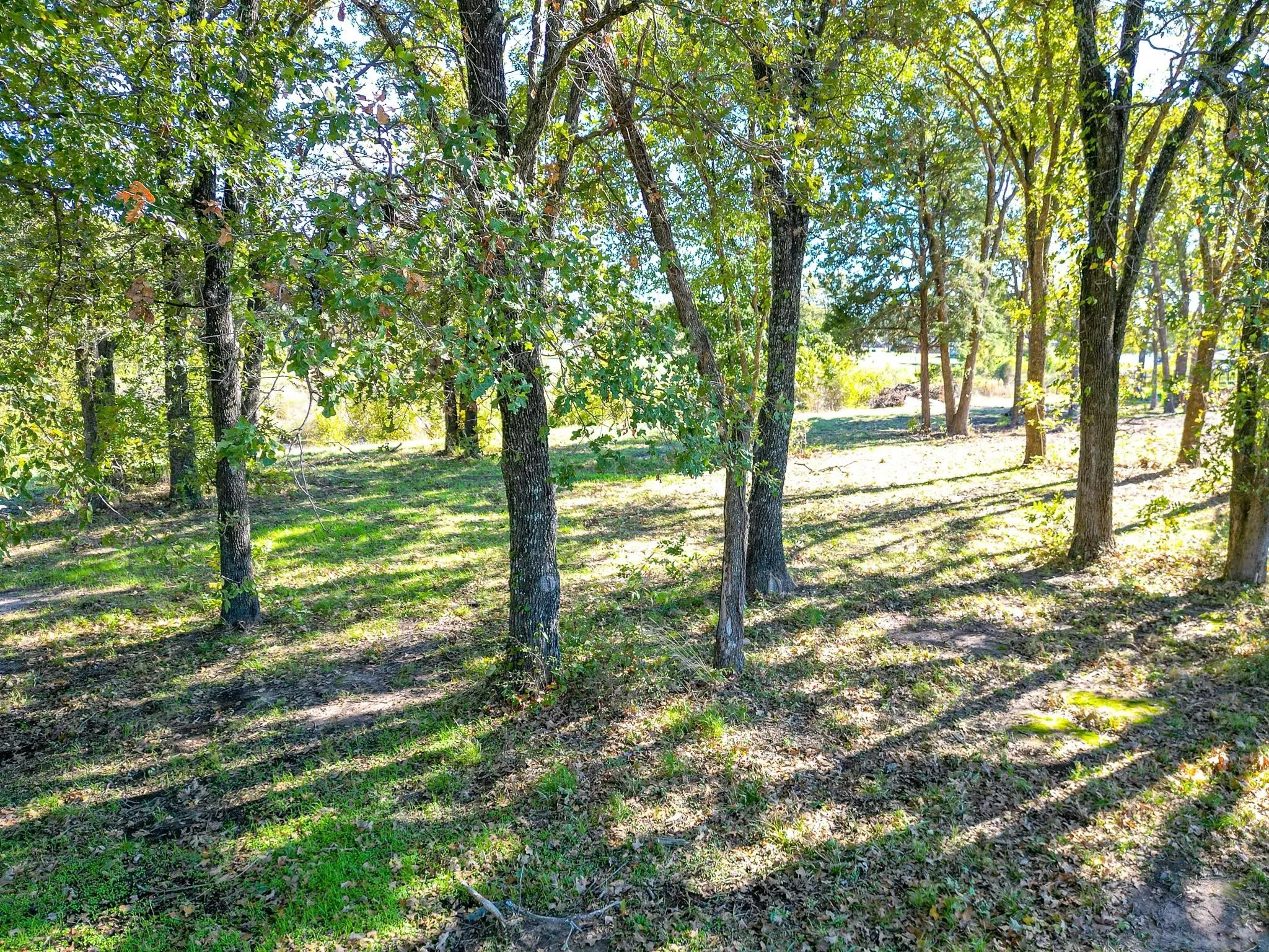 Unimproved Land For Sale in Navarro County , Lot 411 Sailboat Drive, Corsicana, Texas 75109, 0, 0, Garage spaces, 0 Sqft, built in 0, Price $65,000, mls#21334950, Real Estate Agent in Corsicana, Homes For Sale in Navarro county, Homes For Sale in Corsicana, Realtor in Corsicana Texas, Real Estate Brokerage Independent Realty Texas, Luminita Cordes Realtor
