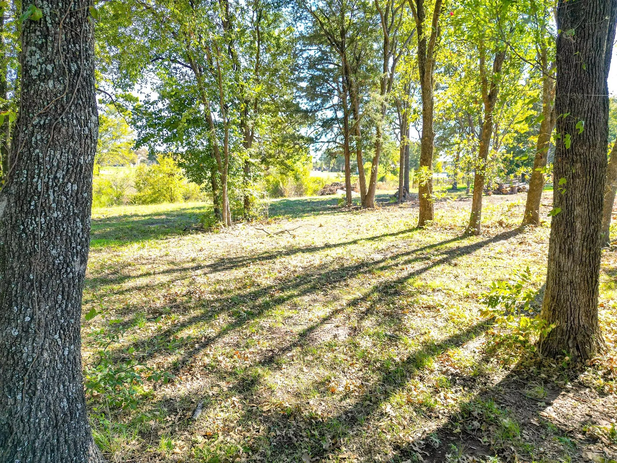 Unimproved Land For Sale in Navarro County , Lot 411 Sailboat Drive, Corsicana, Texas 75109, 0, 0, Garage spaces, 0 Sqft, built in 0, Price $65,000, mls#21334950, Real Estate Agent in Corsicana, Homes For Sale in Navarro county, Homes For Sale in Corsicana, Realtor in Corsicana Texas, Real Estate Brokerage Independent Realty Texas, Luminita Cordes Realtor