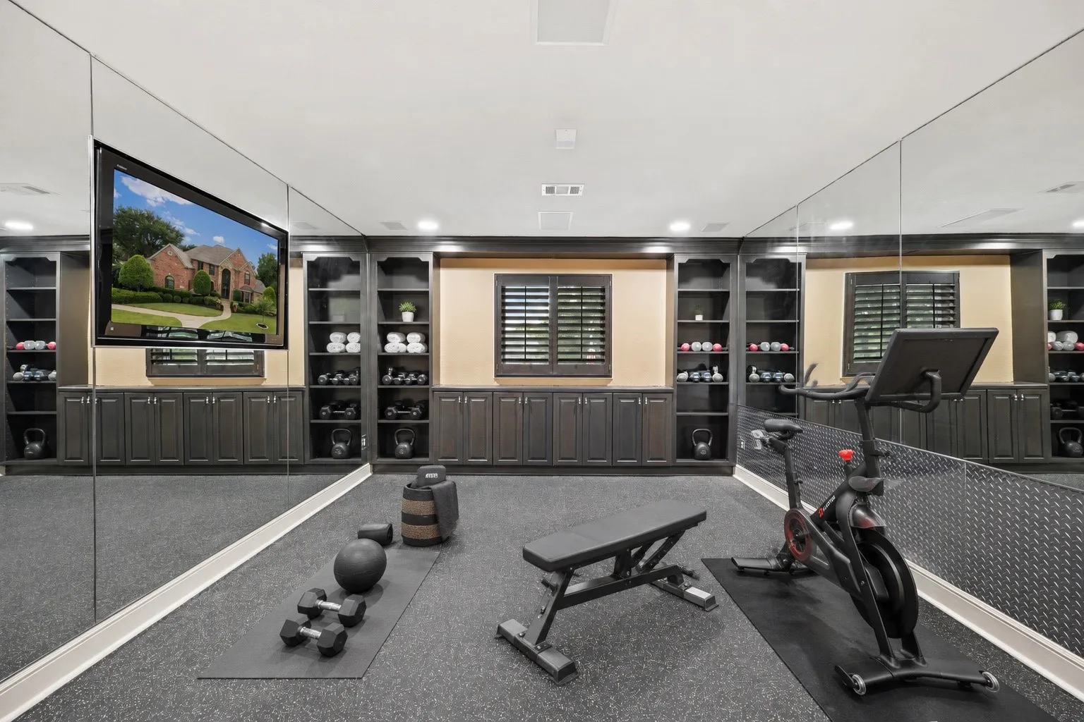 Gym or Media room