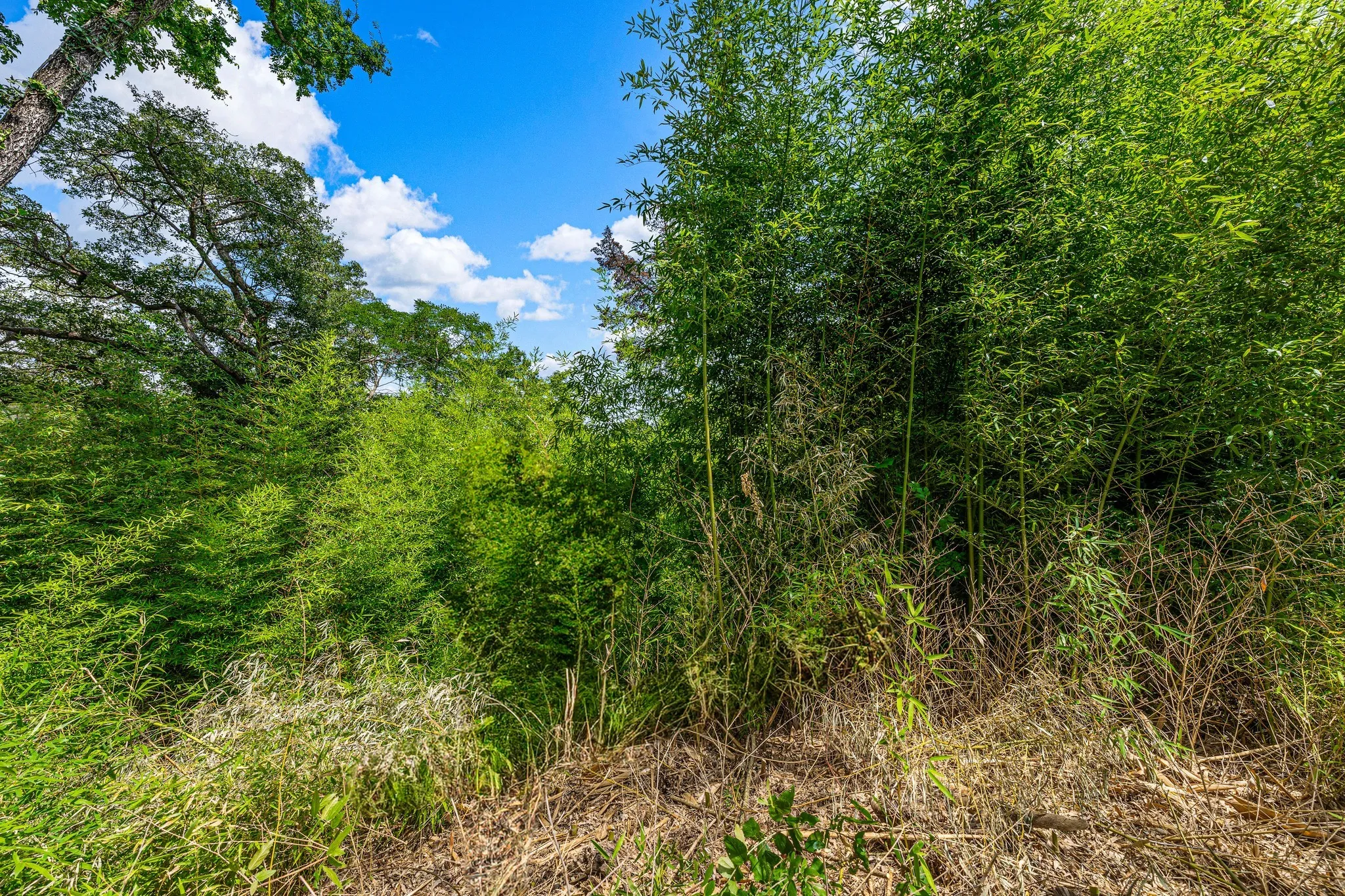 Unimproved Land For Sale in Mc Lennan County , TBD Rainbow Drive, Woodway, Texas 76712, 0, 0, Garage spaces, 0 Sqft, built in 0, Price $250,000, mls#21327050, Real Estate Agent in Woodway, Homes For Sale in Mc Lennan county, Homes For Sale in Woodway, Realtor in Woodway Texas, Real Estate Brokerage Independent Realty Texas, Luminita Cordes Realtor
