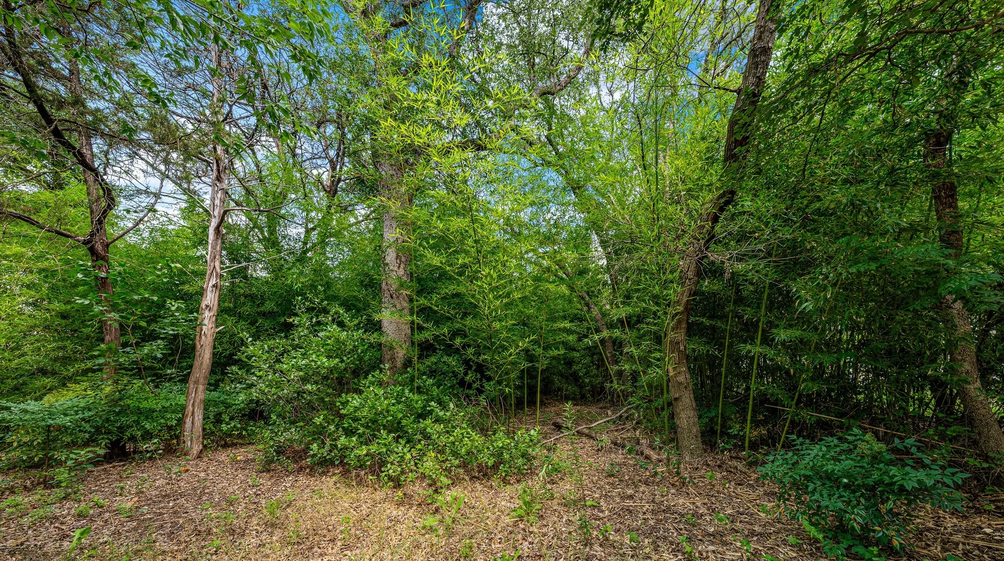 Unimproved Land For Sale in Mc Lennan County , TBD Rainbow Drive, Woodway, Texas 76712, 0, 0, Garage spaces, 0 Sqft, built in 0, Price $250,000, mls#21327050, Real Estate Agent in Woodway, Homes For Sale in Mc Lennan county, Homes For Sale in Woodway, Realtor in Woodway Texas, Real Estate Brokerage Independent Realty Texas, Luminita Cordes Realtor