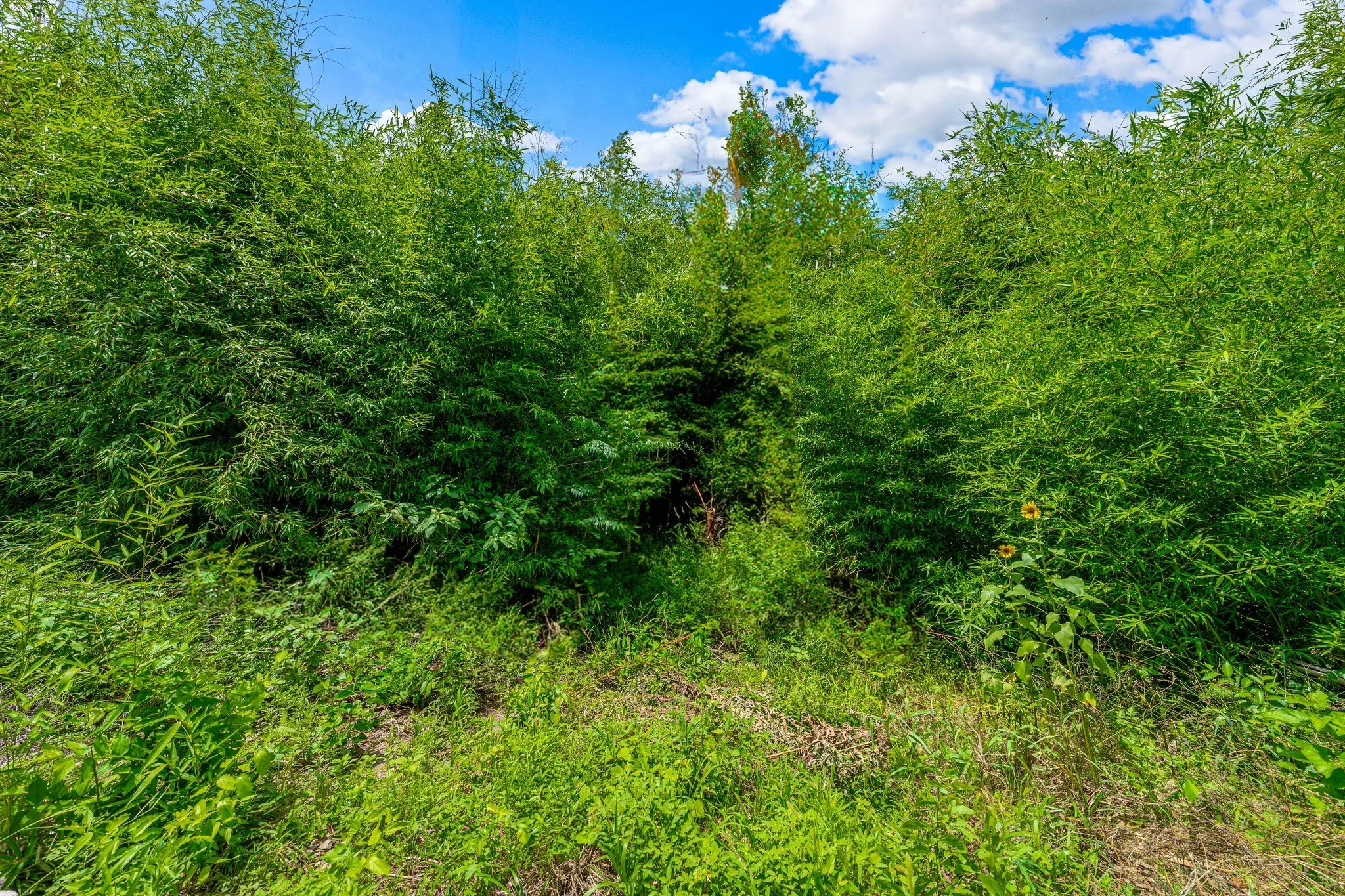 Unimproved Land For Sale in Mc Lennan County , TBD Rainbow Drive, Woodway, Texas 76712, 0, 0, Garage spaces, 0 Sqft, built in 0, Price $250,000, mls#21327050, Real Estate Agent in Woodway, Homes For Sale in Mc Lennan county, Homes For Sale in Woodway, Realtor in Woodway Texas, Real Estate Brokerage Independent Realty Texas, Luminita Cordes Realtor