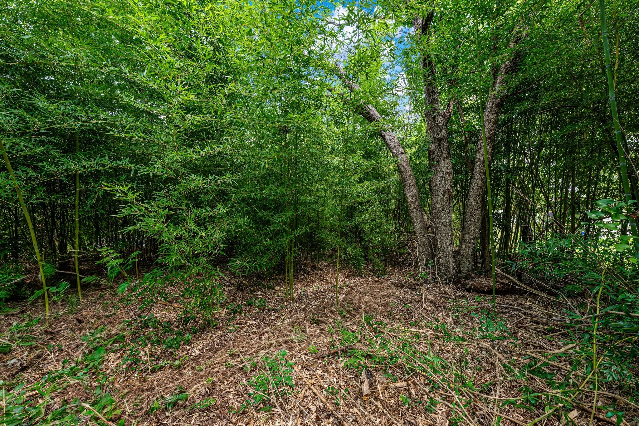 Unimproved Land For Sale in Mc Lennan County , TBD Rainbow Drive, Woodway, Texas 76712, 0, 0, Garage spaces, 0 Sqft, built in 0, Price $250,000, mls#21327050, Real Estate Agent in Woodway, Homes For Sale in Mc Lennan county, Homes For Sale in Woodway, Realtor in Woodway Texas, Real Estate Brokerage Independent Realty Texas, Luminita Cordes Realtor