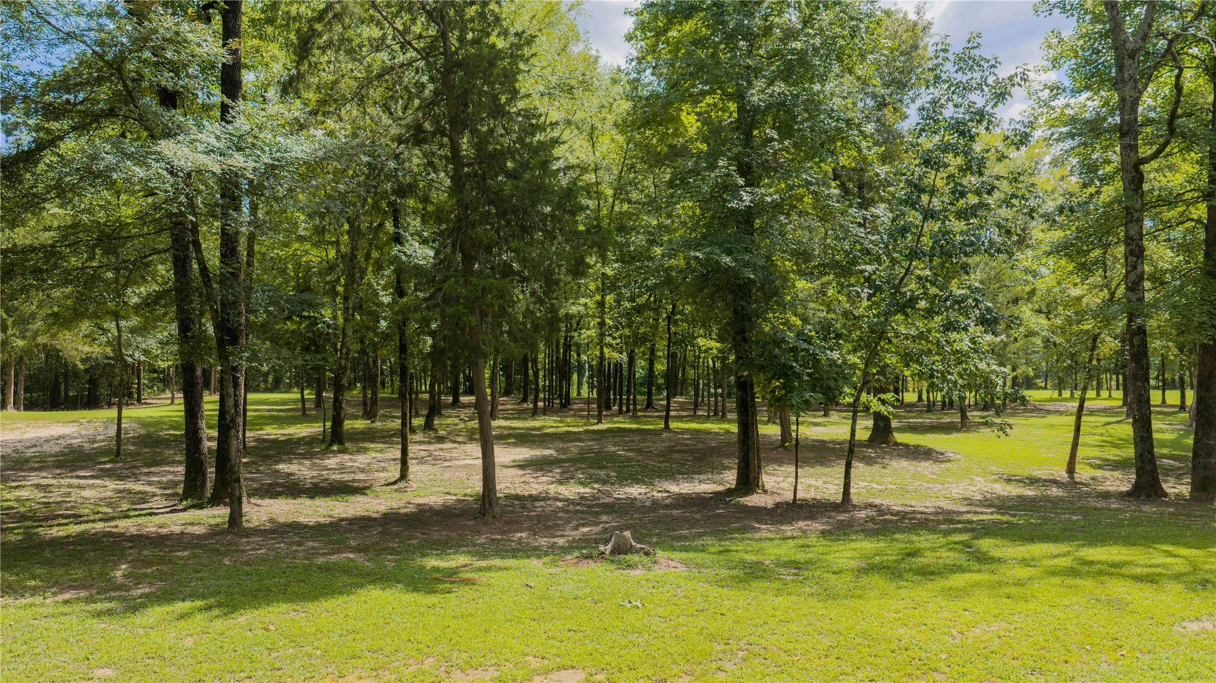 Improved Land For Sale in Camp County , 18 CR 2337, Pittsburg, Texas 75686, 0, 0, Garage spaces, 0 Sqft, built in 0, mls#21319333, Real Estate Agent in Pittsburg, Homes For Sale in Camp county, Homes For Sale in Pittsburg, Realtor in Pittsburg Texas, Real Estate Brokerage Independent Realty Texas, Luminita Cordes Realtor