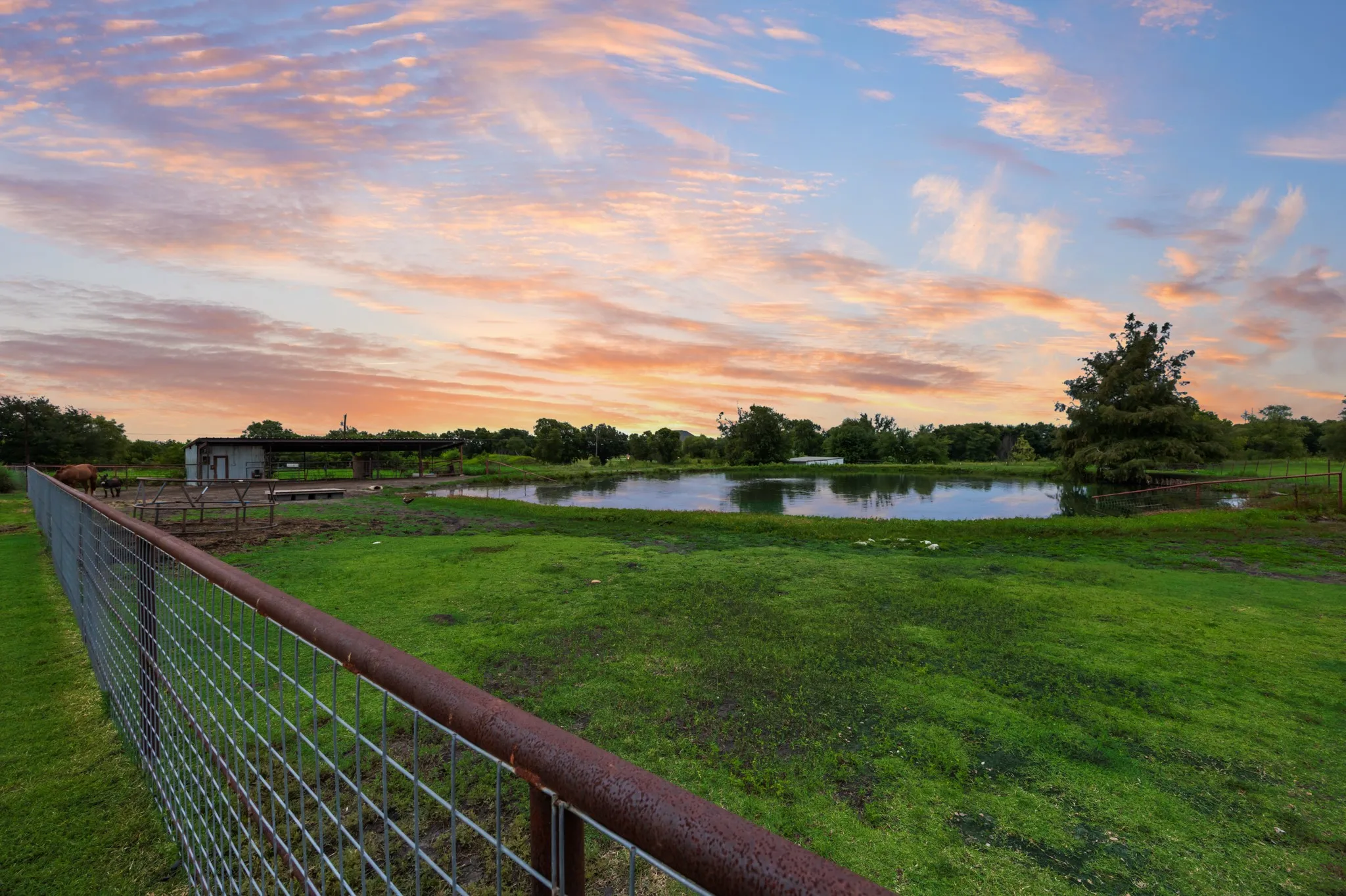 Single Family Residence For Sale in Kaufman County , 10052 Helms Trail, Forney, Texas 75126, 4 Bedroom, 3 Bathroom, 2 Garage spaces, 2,952 Sqft, built in 2000, mls#21334456, Real Estate Agent in Forney, Homes For Sale in Kaufman county, Homes For Sale in Forney, Realtor in Forney Texas, Real Estate Brokerage Independent Realty Texas, Luminita Cordes Realtor