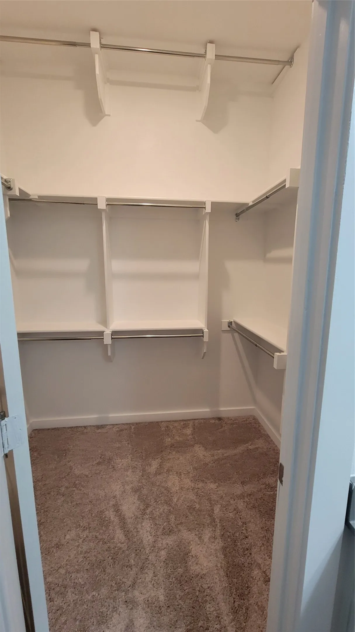 Walk in closet featuring carpet