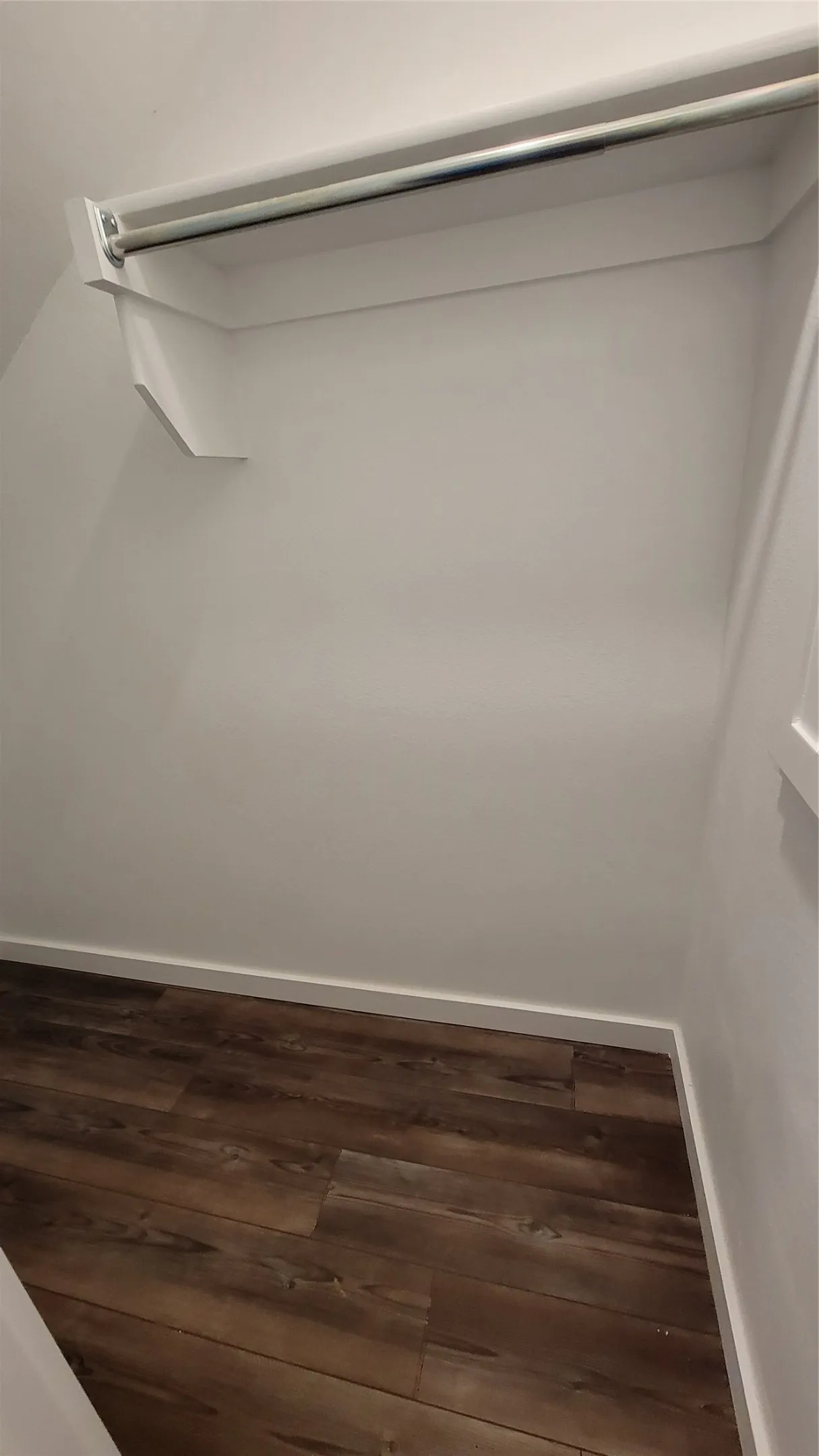 Spacious closet featuring dark hardwood / wood-style flooring