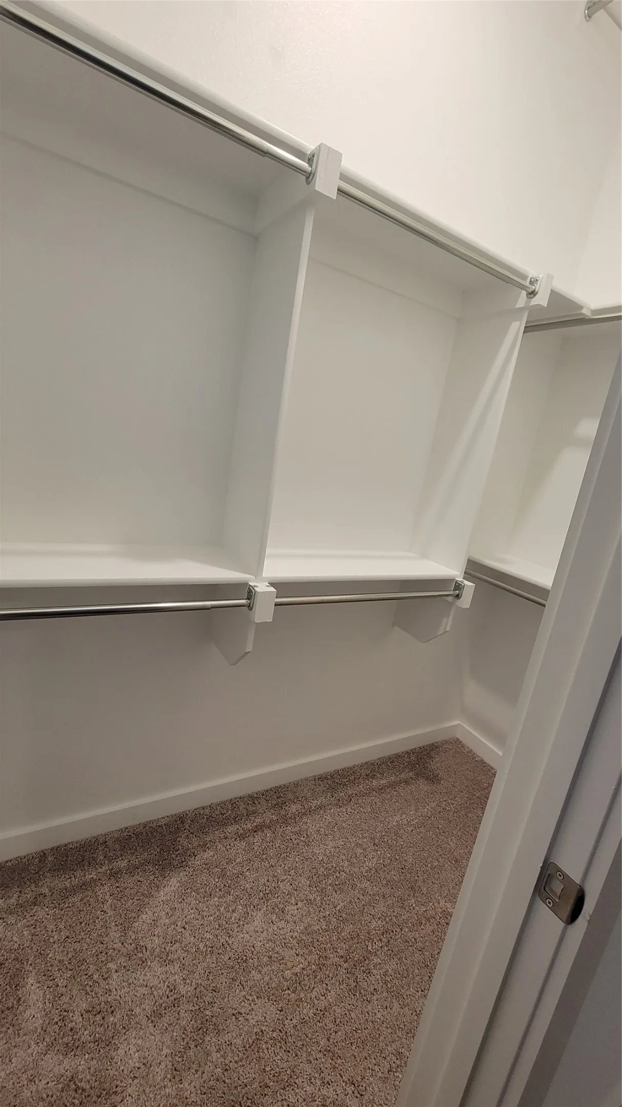 Spacious closet with carpet floors