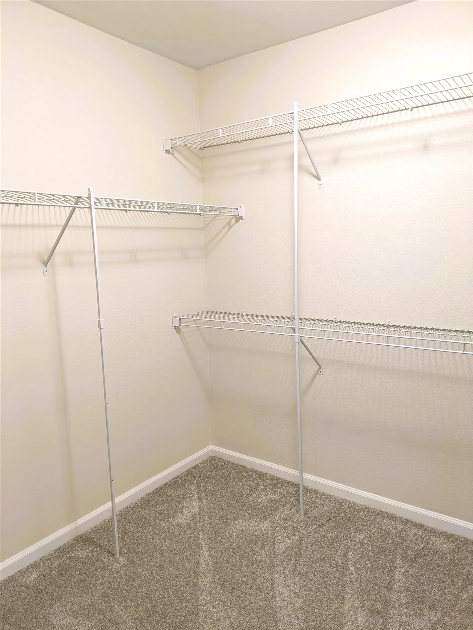 Walk-in closet featuring multi-level wire shelving, white baseboards, and neutral-toned carpeting