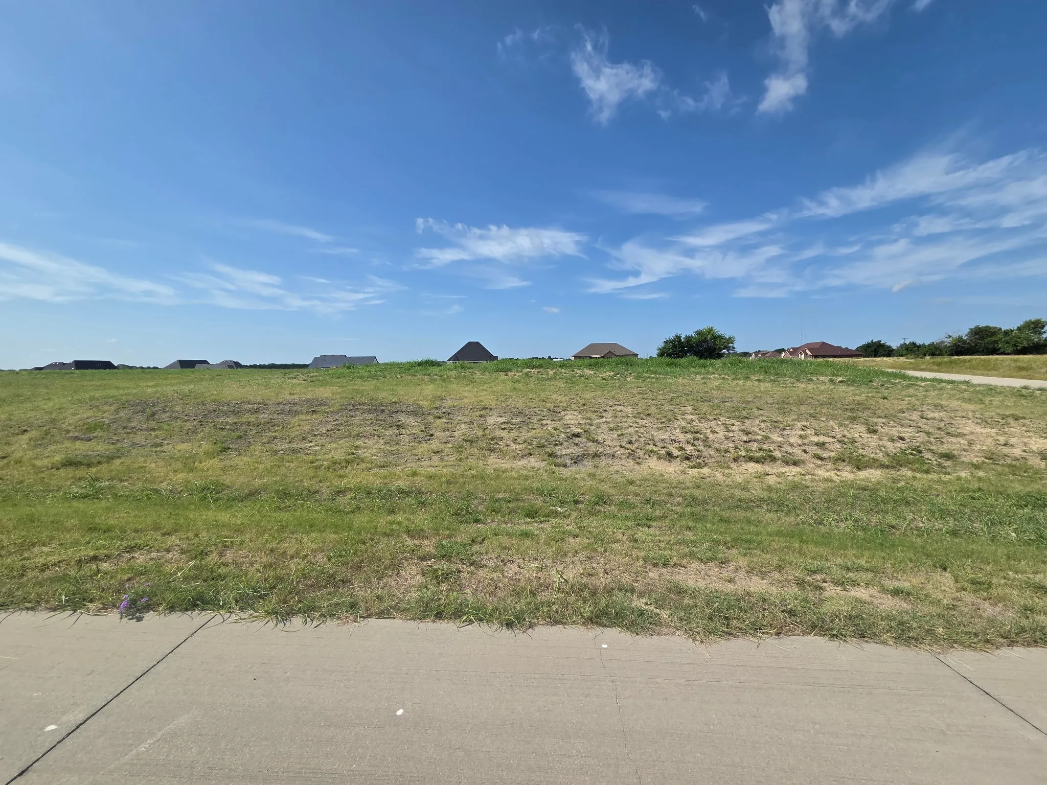 Unimproved Land For Sale in Collin County , Lot 11B Ty Lane, Princeton, Texas 75407, 0, 0, Garage spaces, 0 Sqft, built in 0, mls#21335047, Real Estate Agent in Princeton, Homes For Sale in Collin county, Homes For Sale in Princeton, Realtor in Princeton Texas, Real Estate Brokerage Independent Realty Texas, Luminita Cordes Realtor