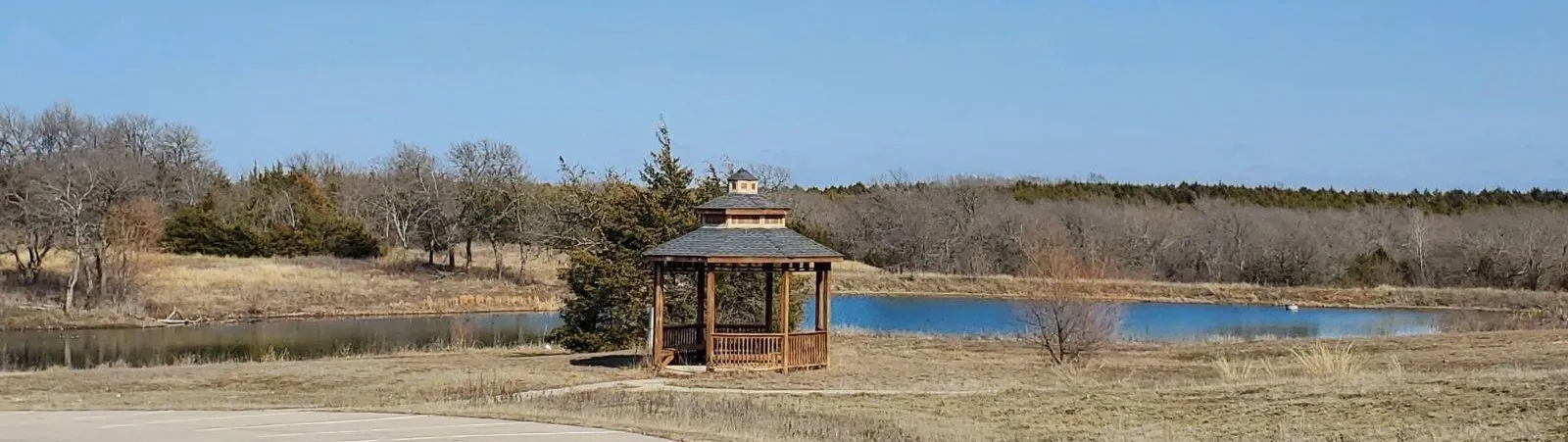 Unimproved Land For Sale in Collin County , Lot 11B Ty Lane, Princeton, Texas 75407, 0, 0, Garage spaces, 0 Sqft, built in 0, mls#21335047, Real Estate Agent in Princeton, Homes For Sale in Collin county, Homes For Sale in Princeton, Realtor in Princeton Texas, Real Estate Brokerage Independent Realty Texas, Luminita Cordes Realtor
