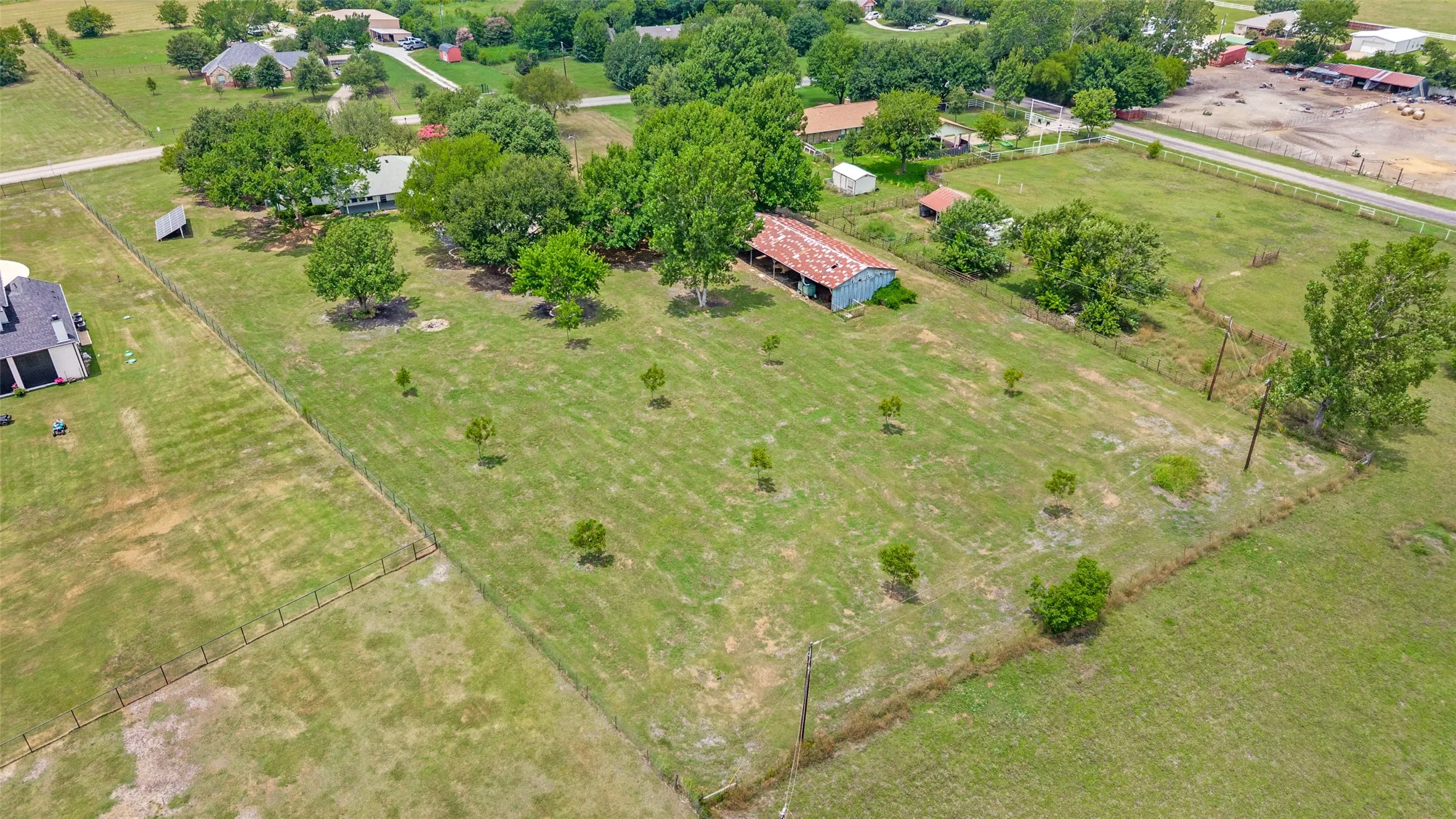 Small grove of walnut trees