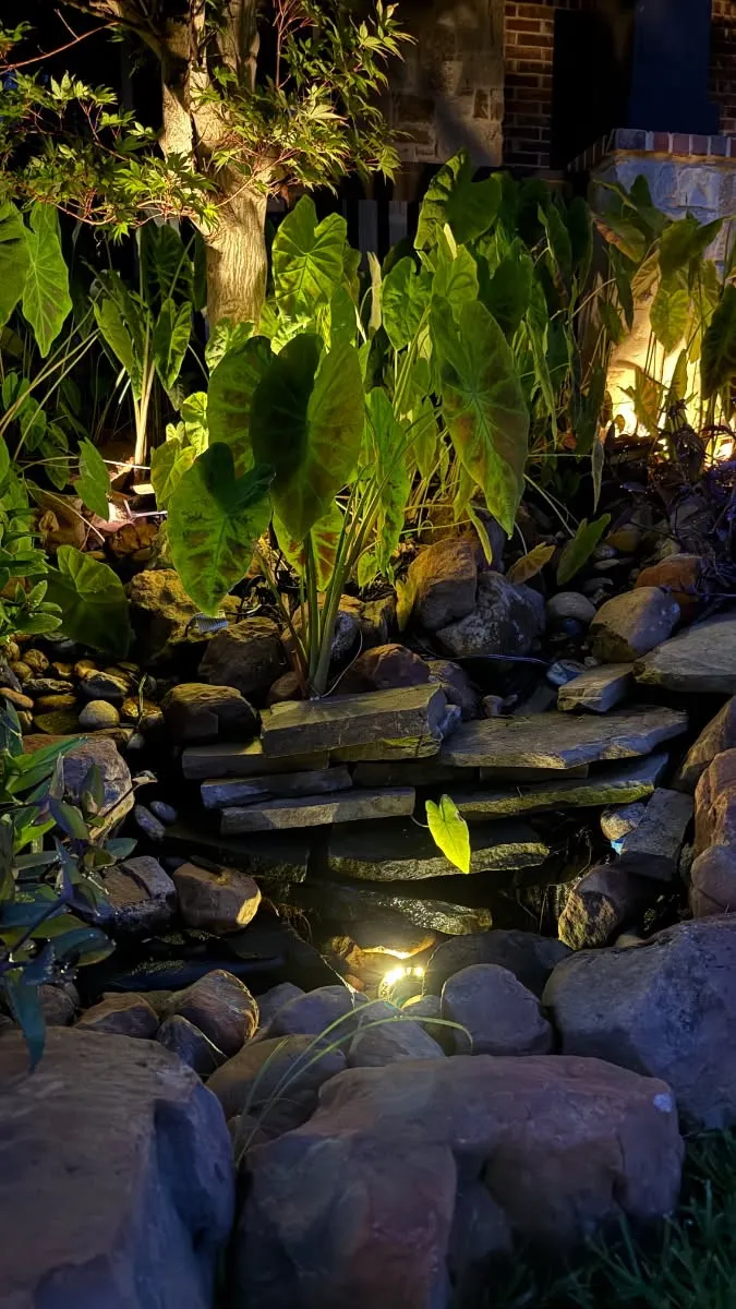 Two fountains gives you the vision and sound of a babbling brook.