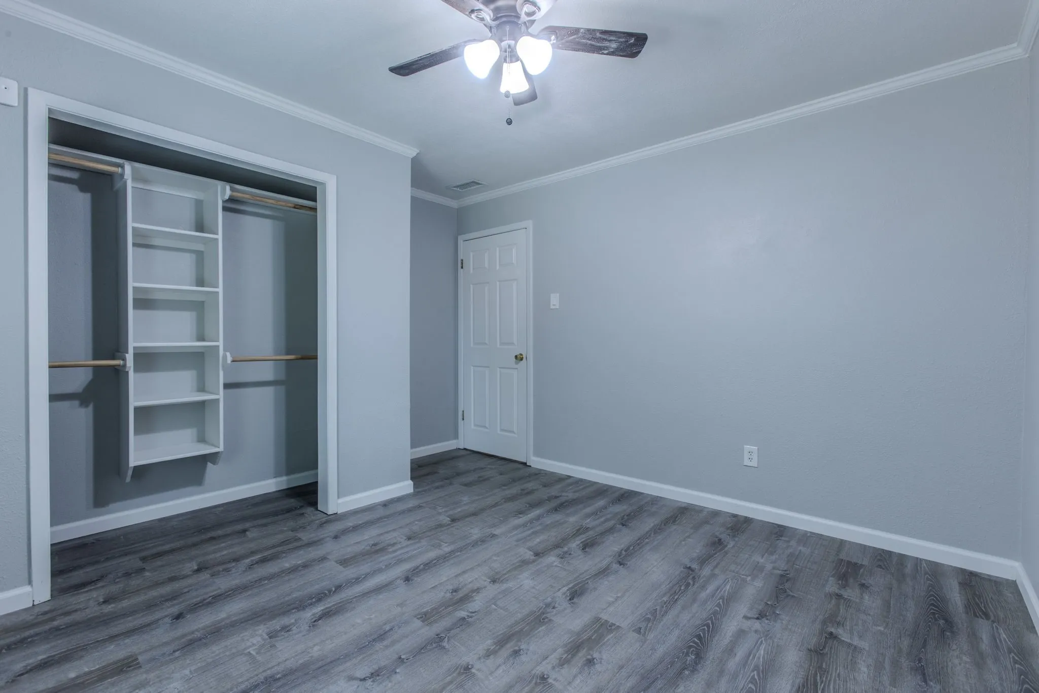 Interior space featuring wood-finish flooring and light gray walls